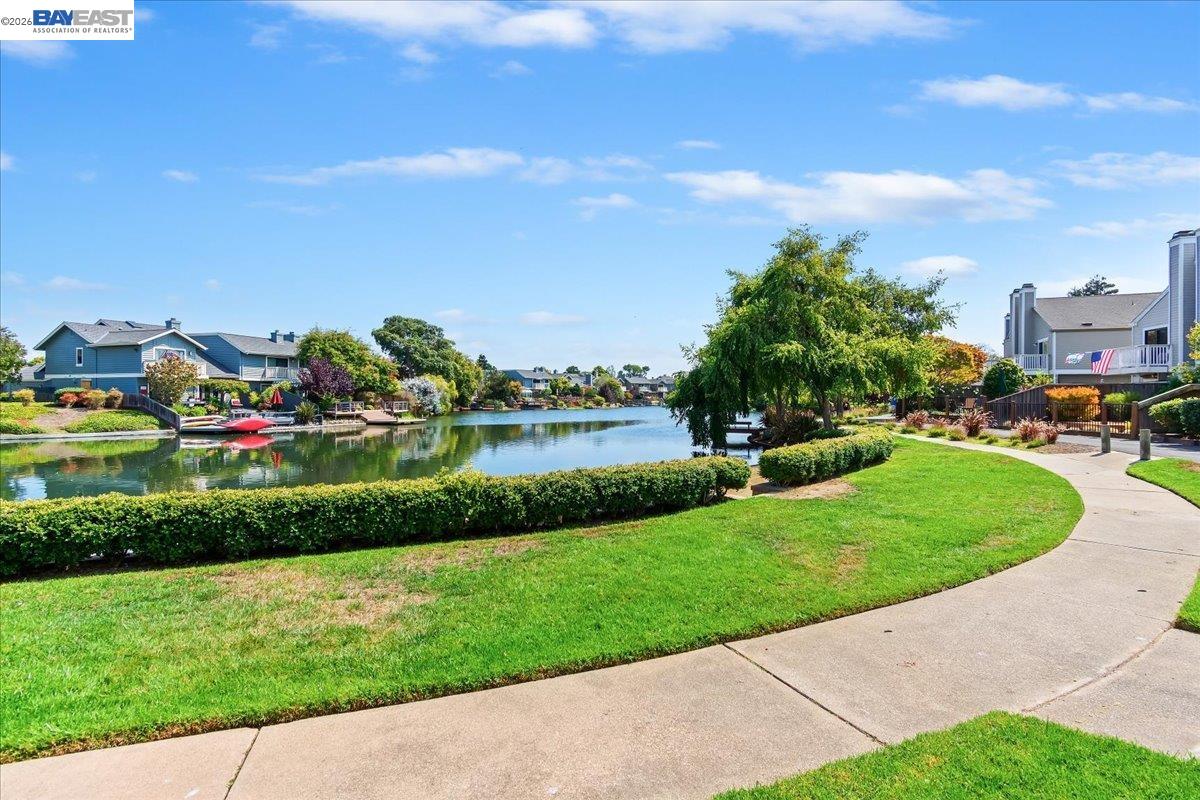 Photo #36: 41124132 Listing: Photo #36