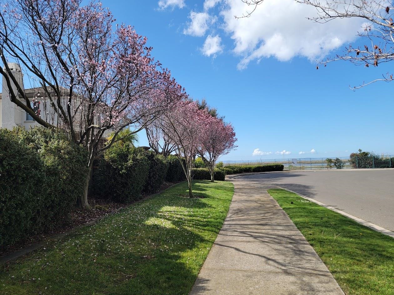 Detail Gallery Image 55 of 60 For 2883 Seadrift, Hayward,  CA 94545 - 5 Beds | 3 Baths