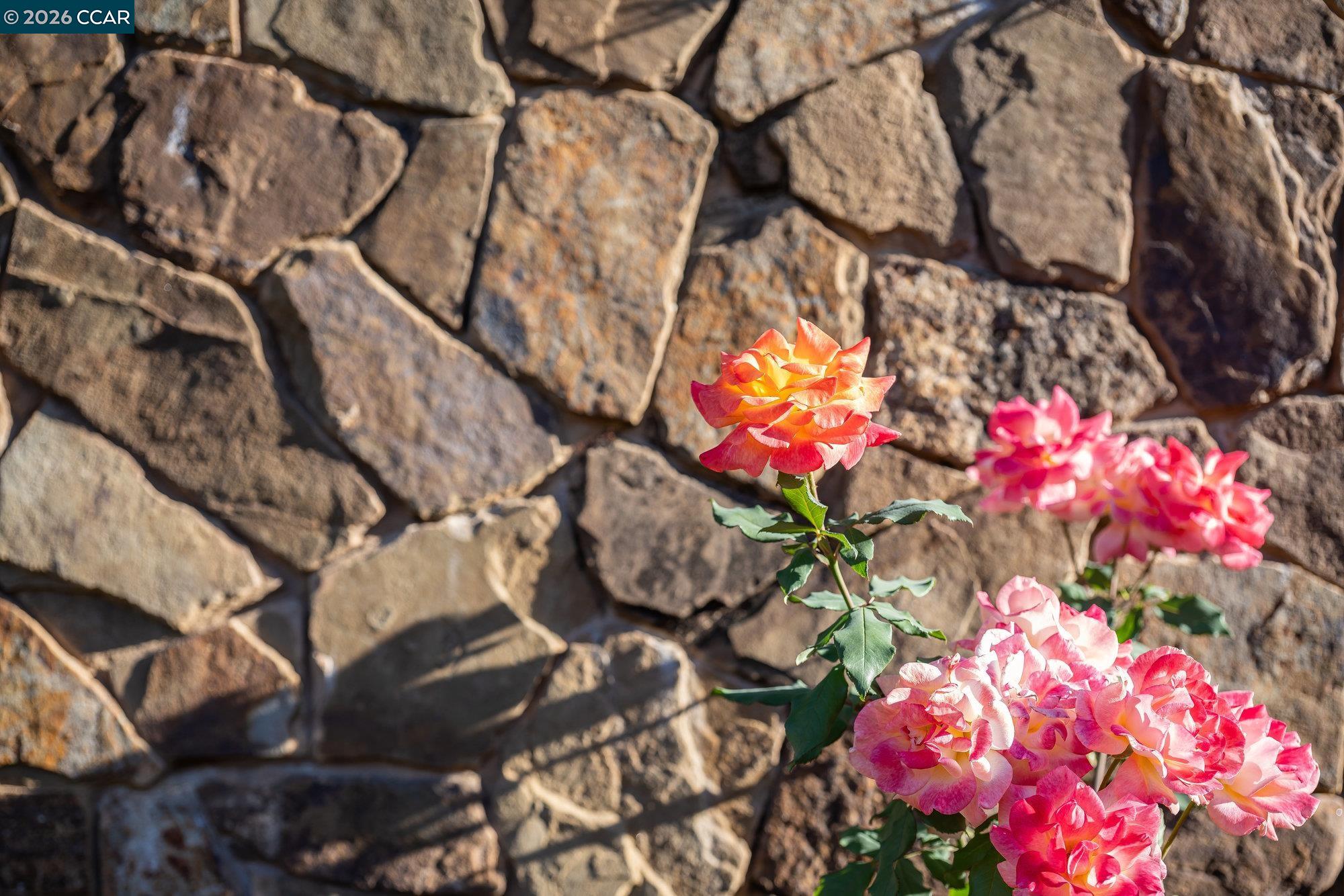 Detail Gallery Image 55 of 60 For 940 Eagle Ridge Dr, Danville,  CA 94506 - 6 Beds | 7/1 Baths