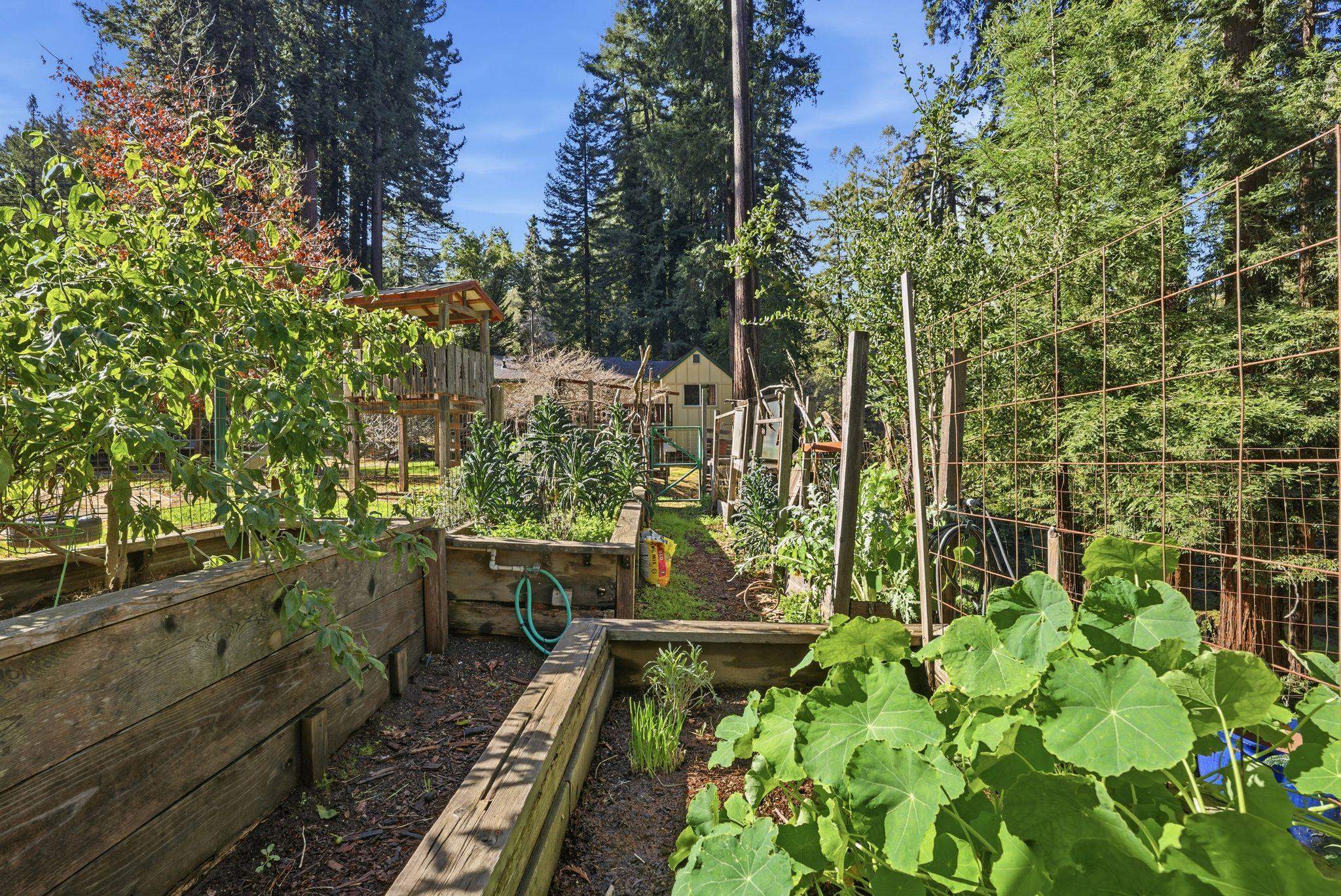 Detail Gallery Image 36 of 59 For 17741 Comanche Trl, Los Gatos,  CA 95033 - 1 Beds | 1 Baths