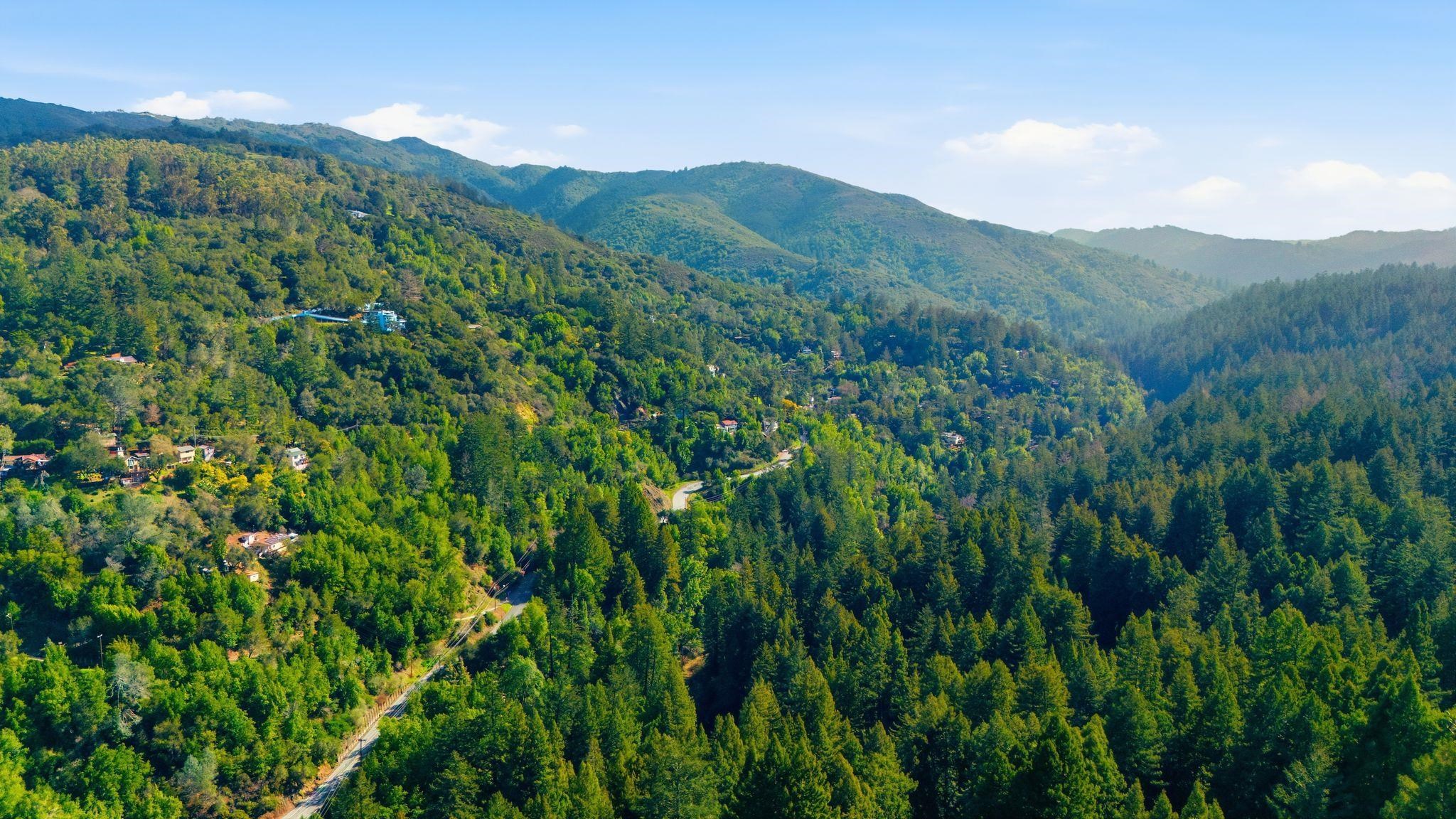 Detail Gallery Image 44 of 59 For 17741 Comanche Trl, Los Gatos,  CA 95033 - 1 Beds | 1 Baths