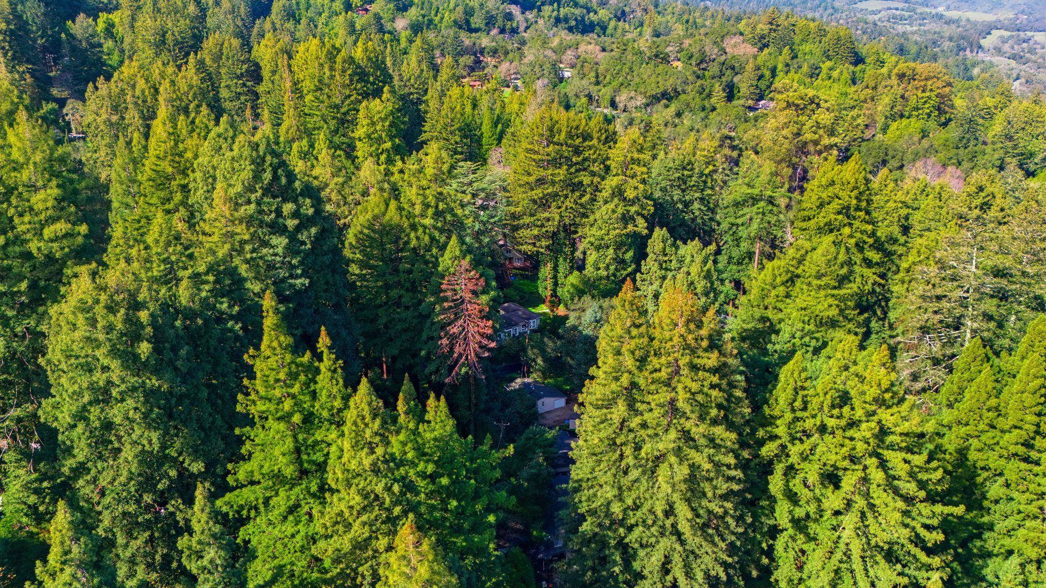 Detail Gallery Image 53 of 59 For 17741 Comanche Trl, Los Gatos,  CA 95033 - 1 Beds | 1 Baths