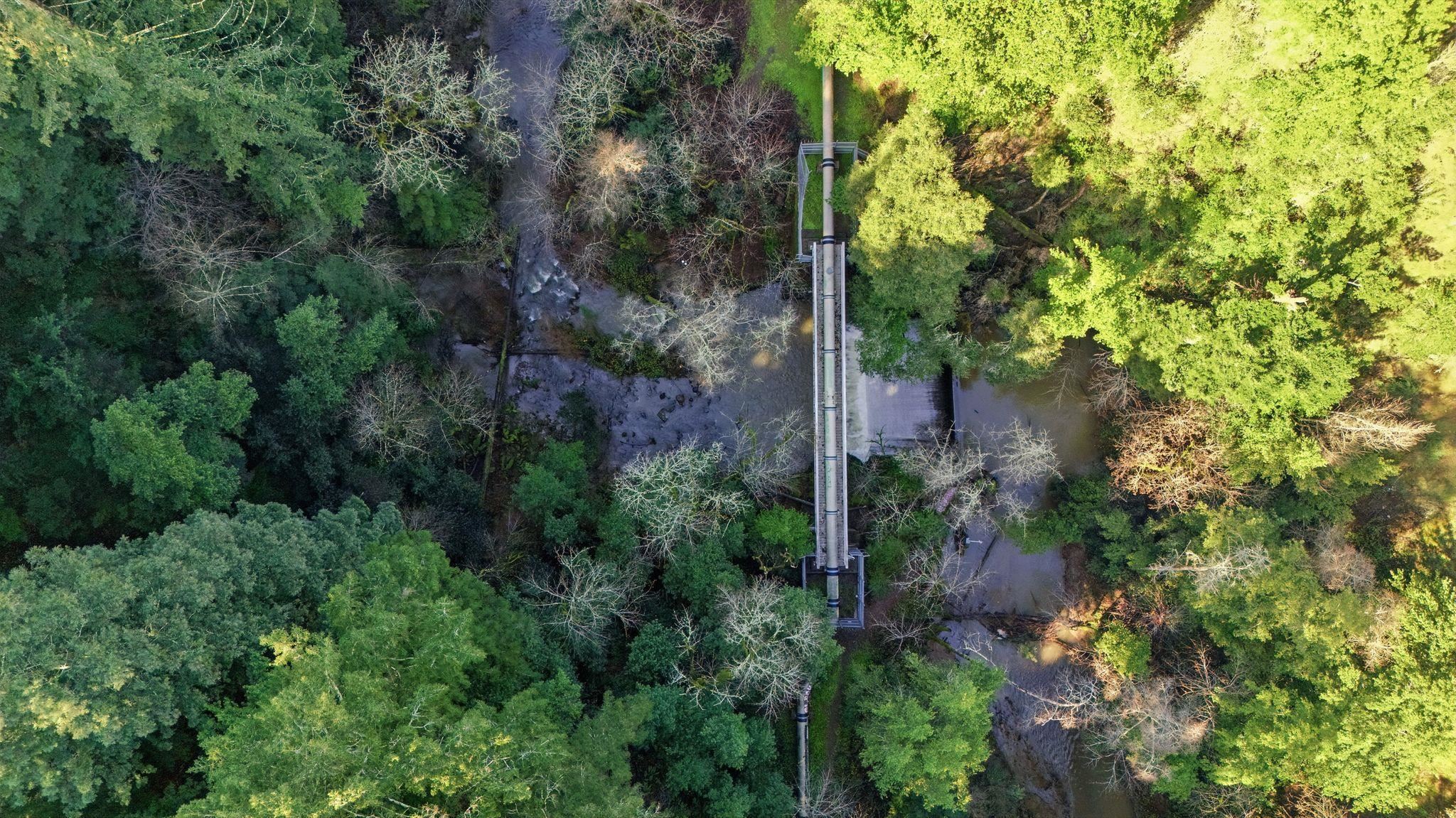 Detail Gallery Image 54 of 59 For 17741 Comanche Trl, Los Gatos,  CA 95033 - 1 Beds | 1 Baths