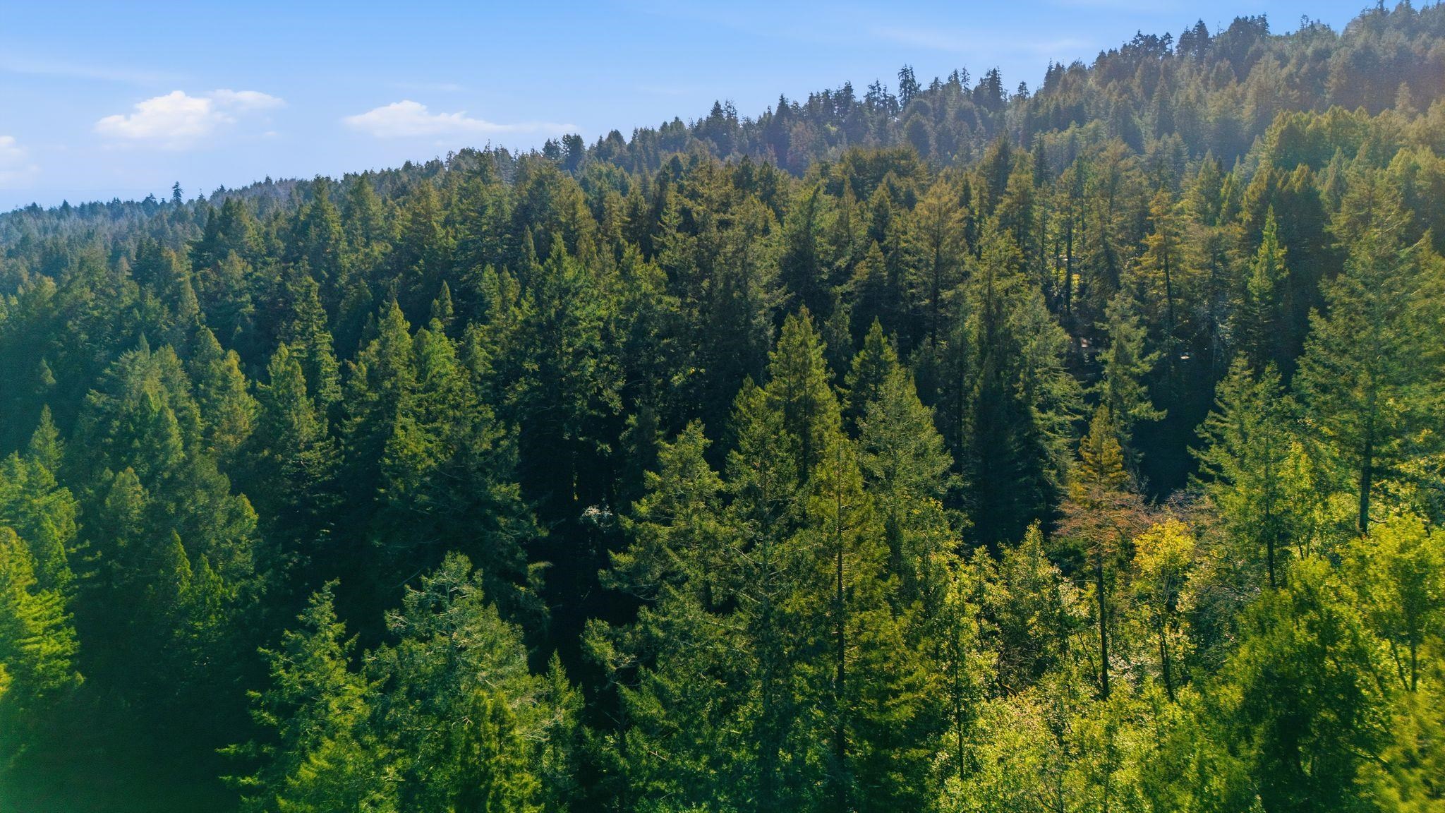 Detail Gallery Image 56 of 59 For 17741 Comanche Trl, Los Gatos,  CA 95033 - 1 Beds | 1 Baths