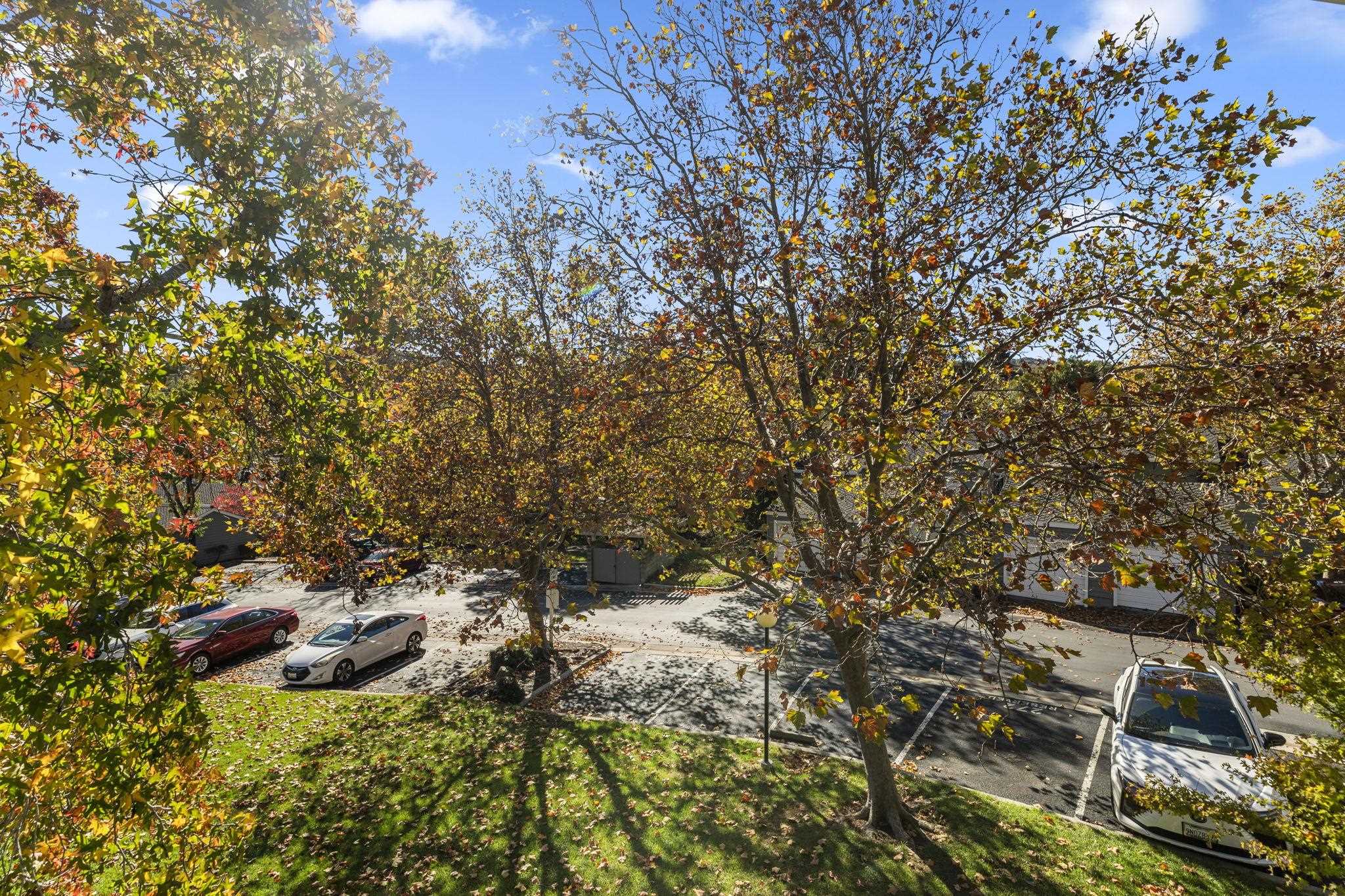 Photo #38: 41124179 Listing: Photo #38