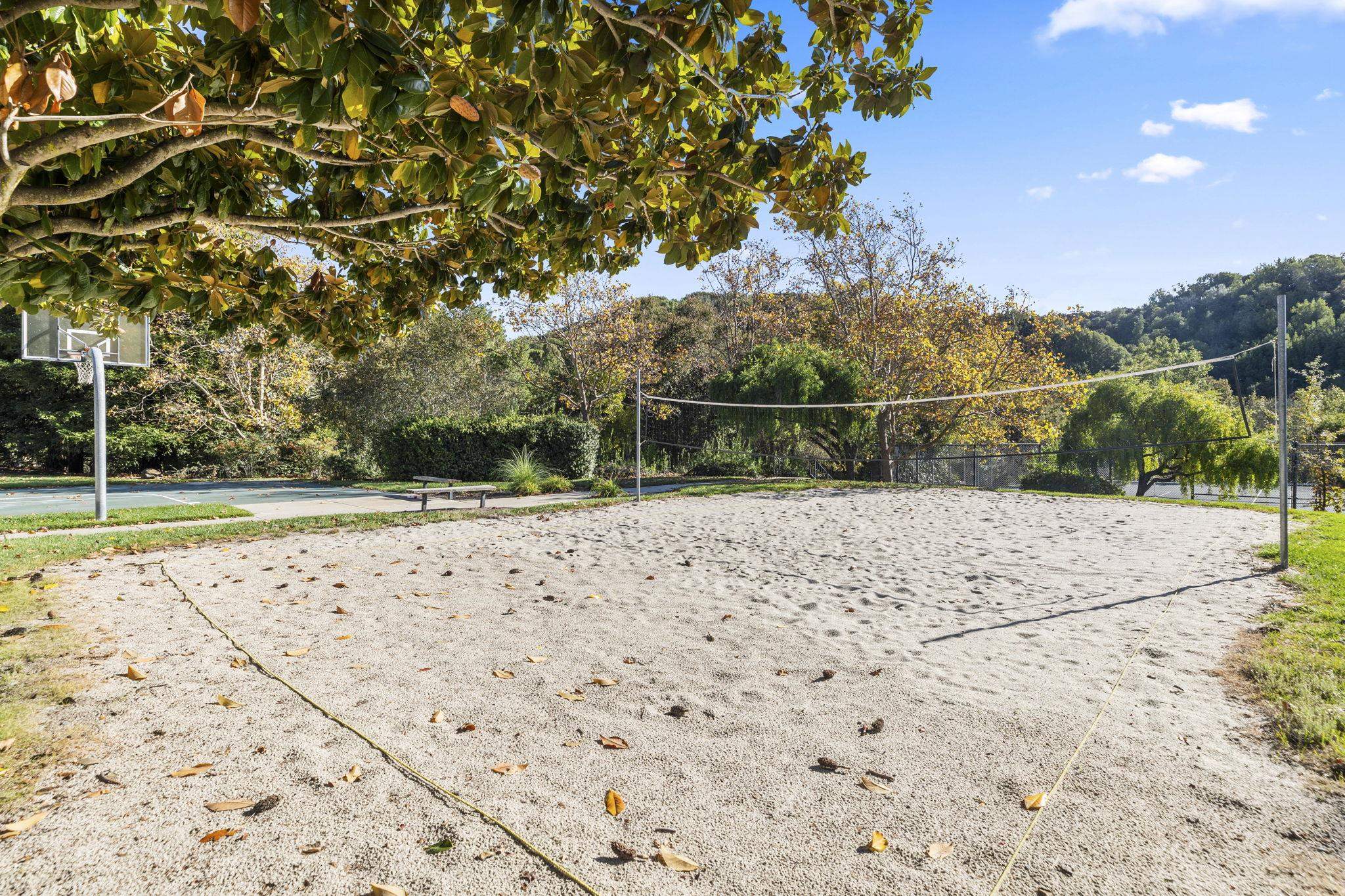 Photo #44: 41124179 Listing: Photo #44