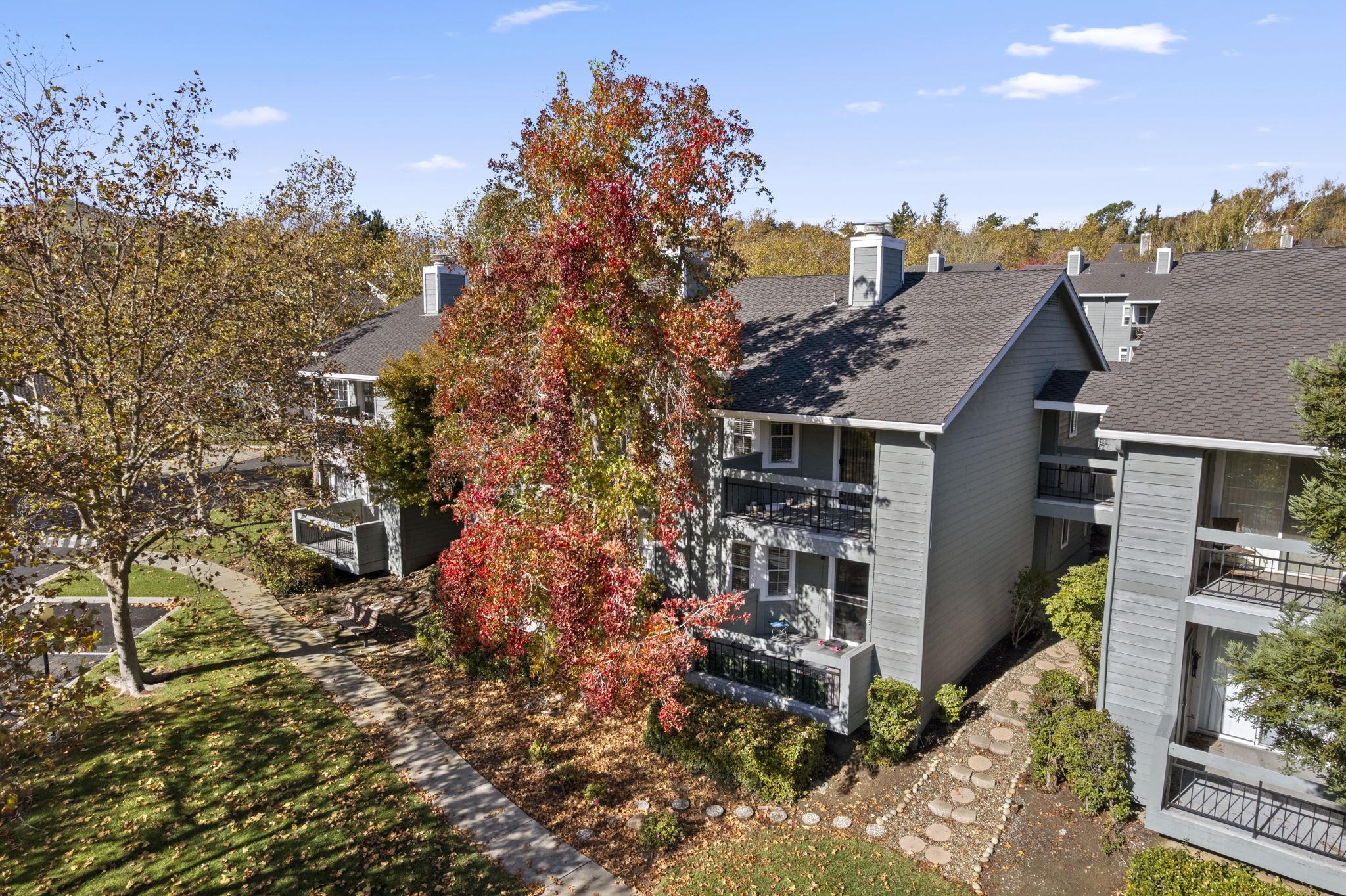 Photo #46: 41124179 Listing: Photo #46