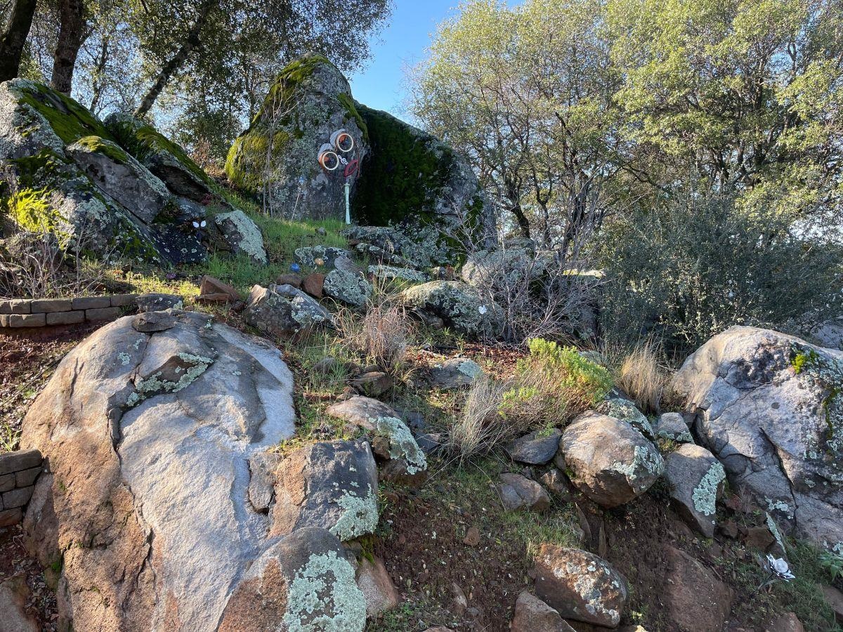 Detail Gallery Image 12 of 24 For 13530 Joshua Way, Sonora,  CA 95370 - 3 Beds | 2/1 Baths