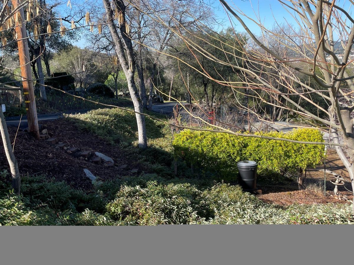 Detail Gallery Image 6 of 24 For 13530 Joshua Way, Sonora,  CA 95370 - 3 Beds | 2/1 Baths