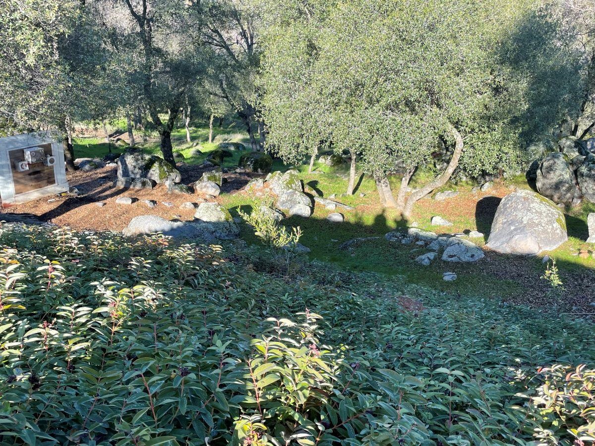 Detail Gallery Image 7 of 24 For 13530 Joshua Way, Sonora,  CA 95370 - 3 Beds | 2/1 Baths