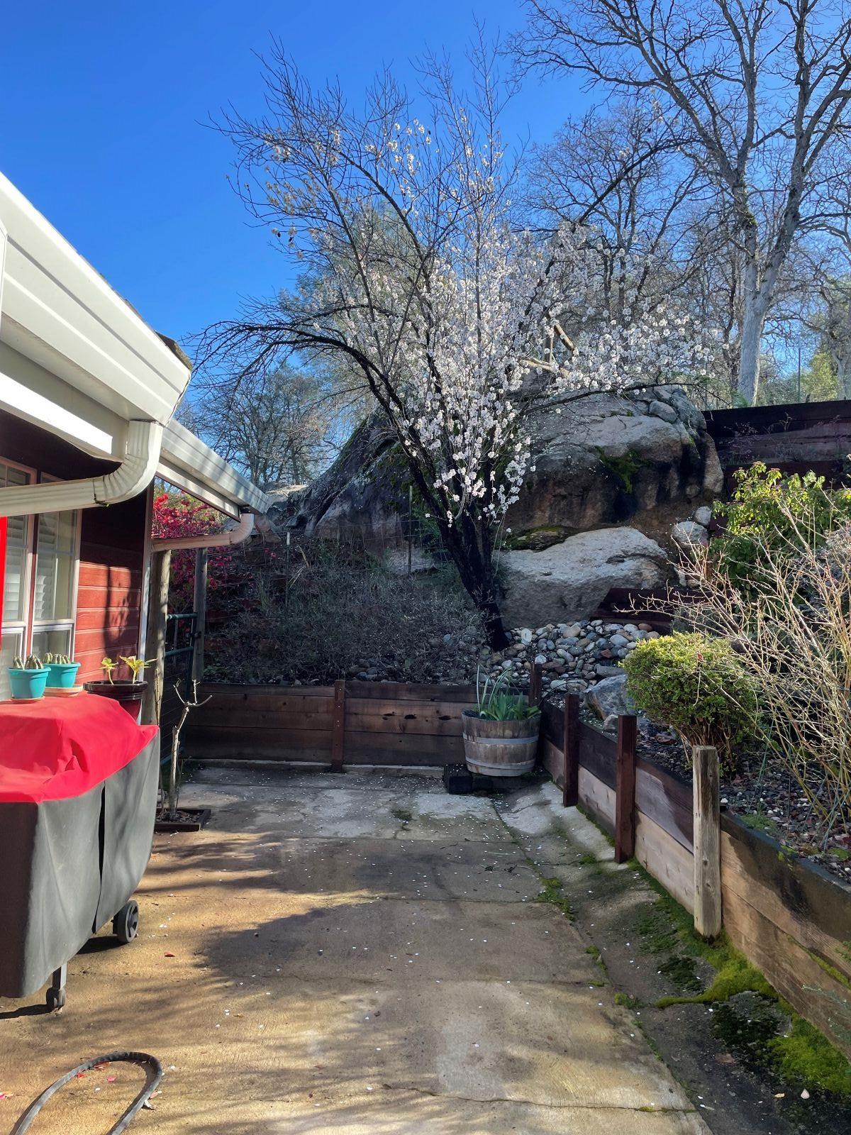 Detail Gallery Image 9 of 24 For 13530 Joshua Way, Sonora,  CA 95370 - 3 Beds | 2/1 Baths