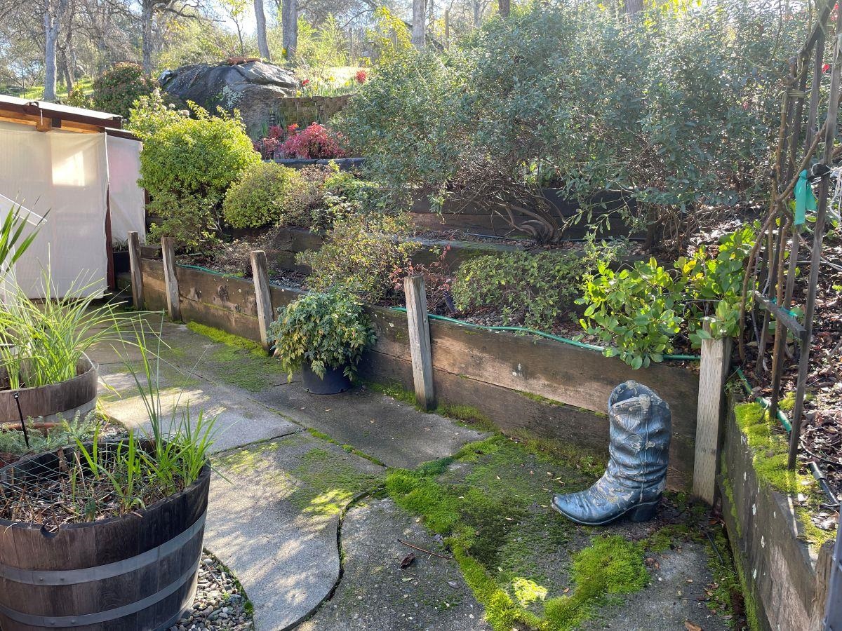 Detail Gallery Image 10 of 24 For 13530 Joshua Way, Sonora,  CA 95370 - 3 Beds | 2/1 Baths