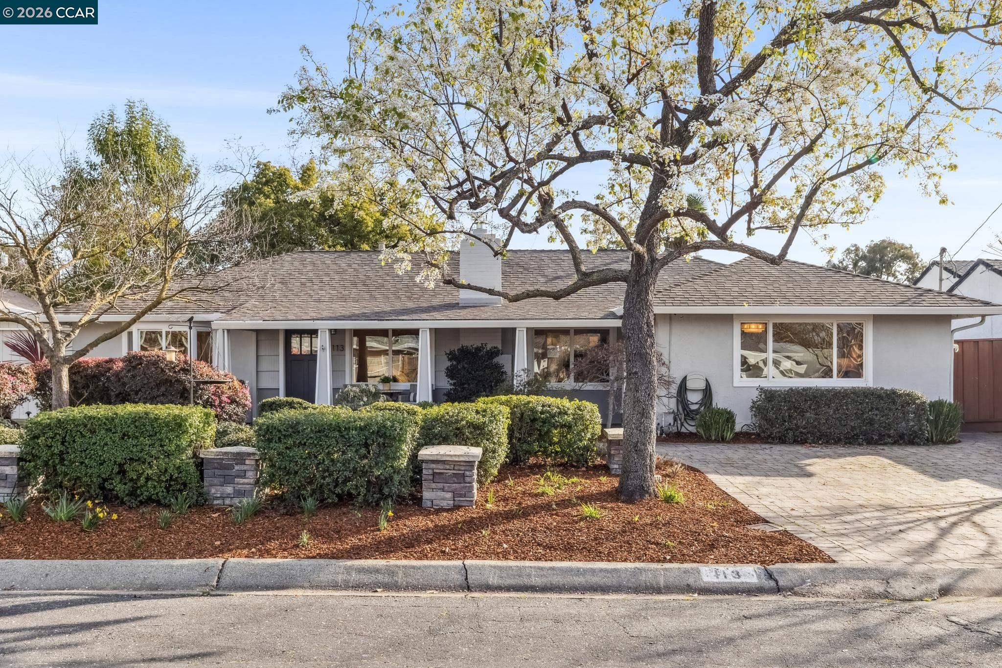 Front Image Thumbnail for CC41124192