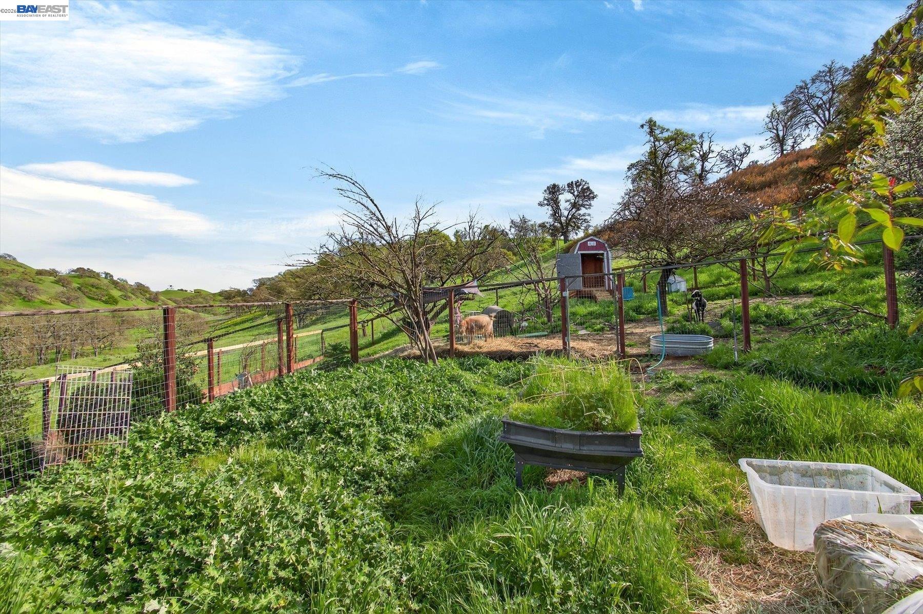 1923 Whitecliff Way, Walnut Creek, CA, 94596