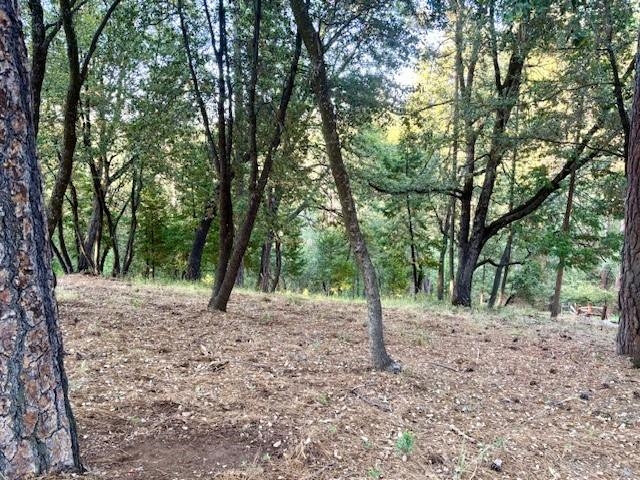 Detail Gallery Image 2 of 7 For 12301 Tower Peak Ct, Groveland,  CA 95321 - – Beds | – Baths