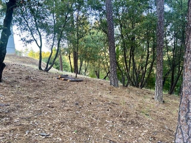 Detail Gallery Image 3 of 7 For 12301 Tower Peak Ct, Groveland,  CA 95321 - – Beds | – Baths