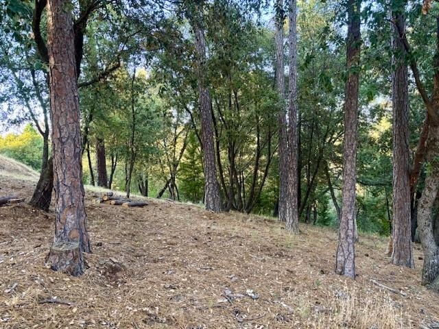 Detail Gallery Image 4 of 7 For 12301 Tower Peak Ct, Groveland,  CA 95321 - – Beds | – Baths