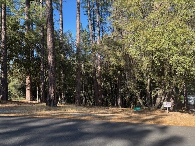 Detail Gallery Image 7 of 7 For 12301 Tower Peak Ct, Groveland,  CA 95321 - – Beds | – Baths