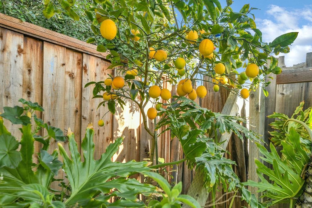 Detail Gallery Image 23 of 23 For 1198 Spiro Dr, San Jose,  CA 95116 - 3 Beds | 2 Baths