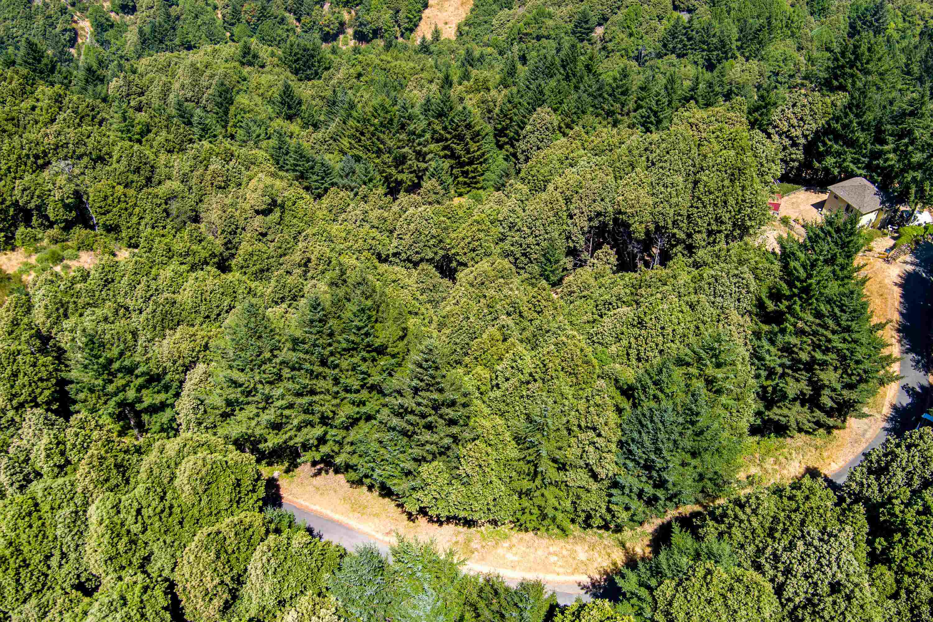 Detail Gallery Image 4 of 9 For 91 Walker Way, Whitethorn,  CA 95589 - – Beds | – Baths