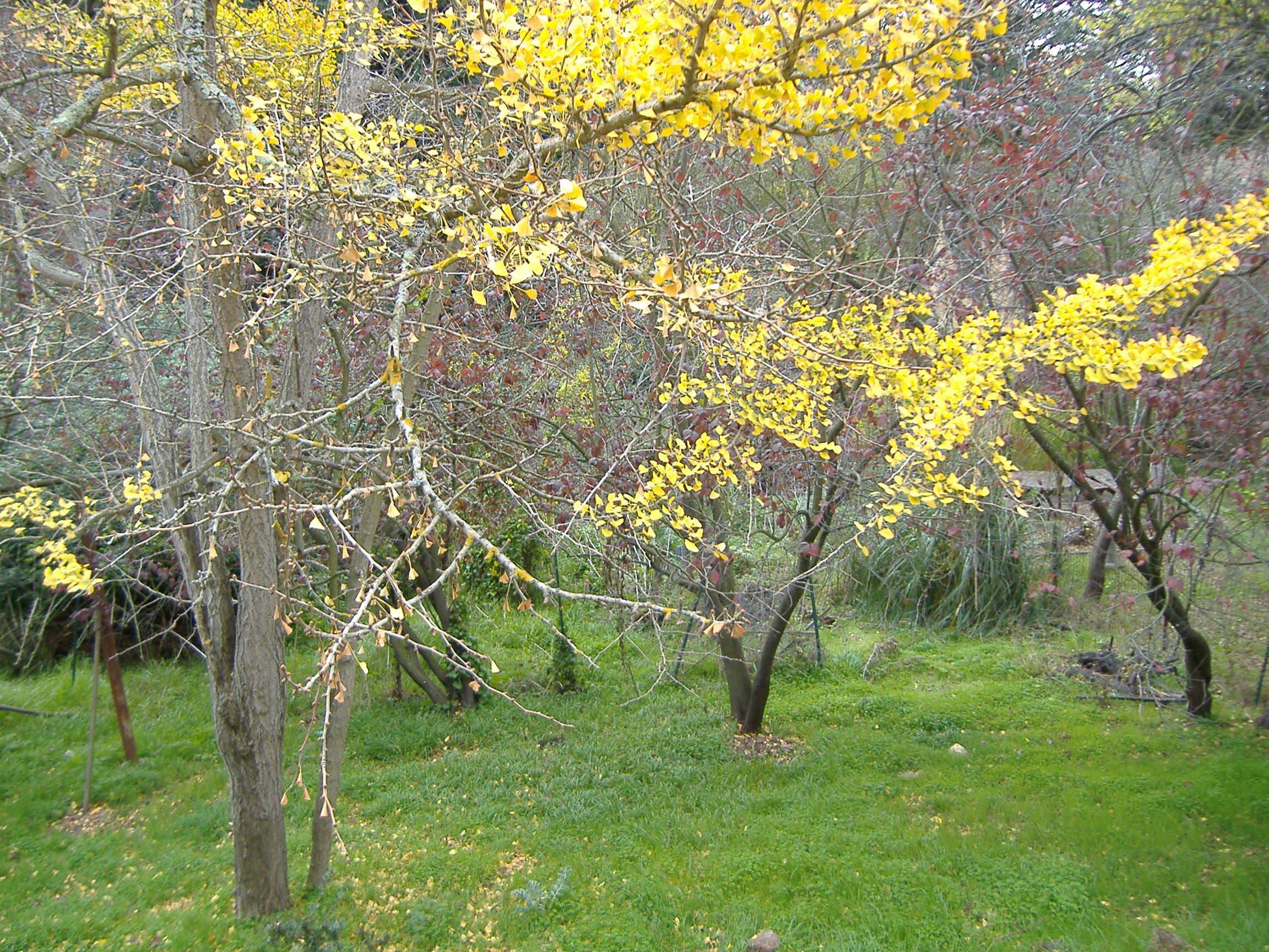 Detail Gallery Image 31 of 31 For 7630 Terrace Dr, El Cerrito,  CA 94530 - 2 Beds | 2 Baths