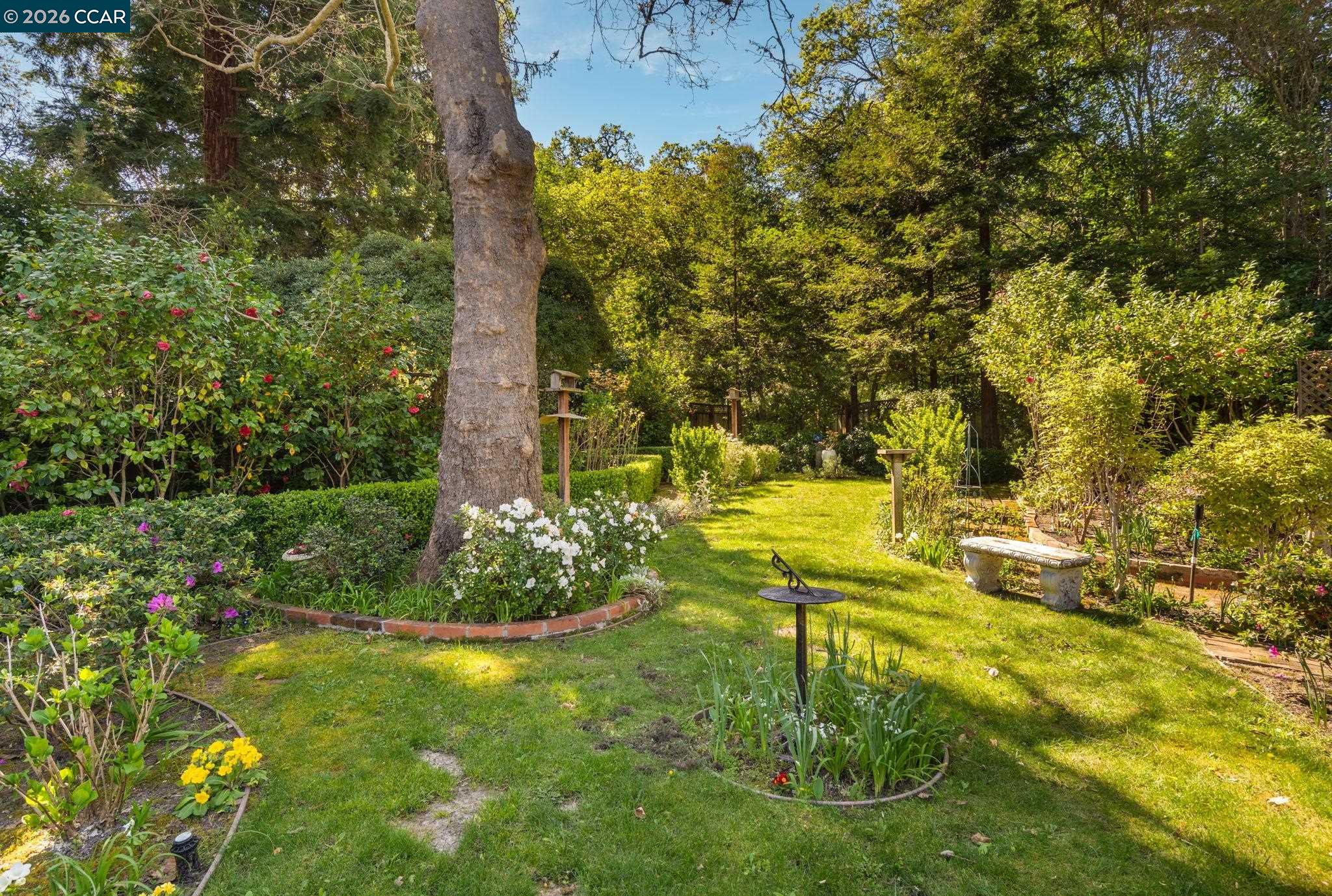 Detail Gallery Image 36 of 51 For 31 Sara Ln, Alamo,  CA 94507 - 3 Beds | 3 Baths