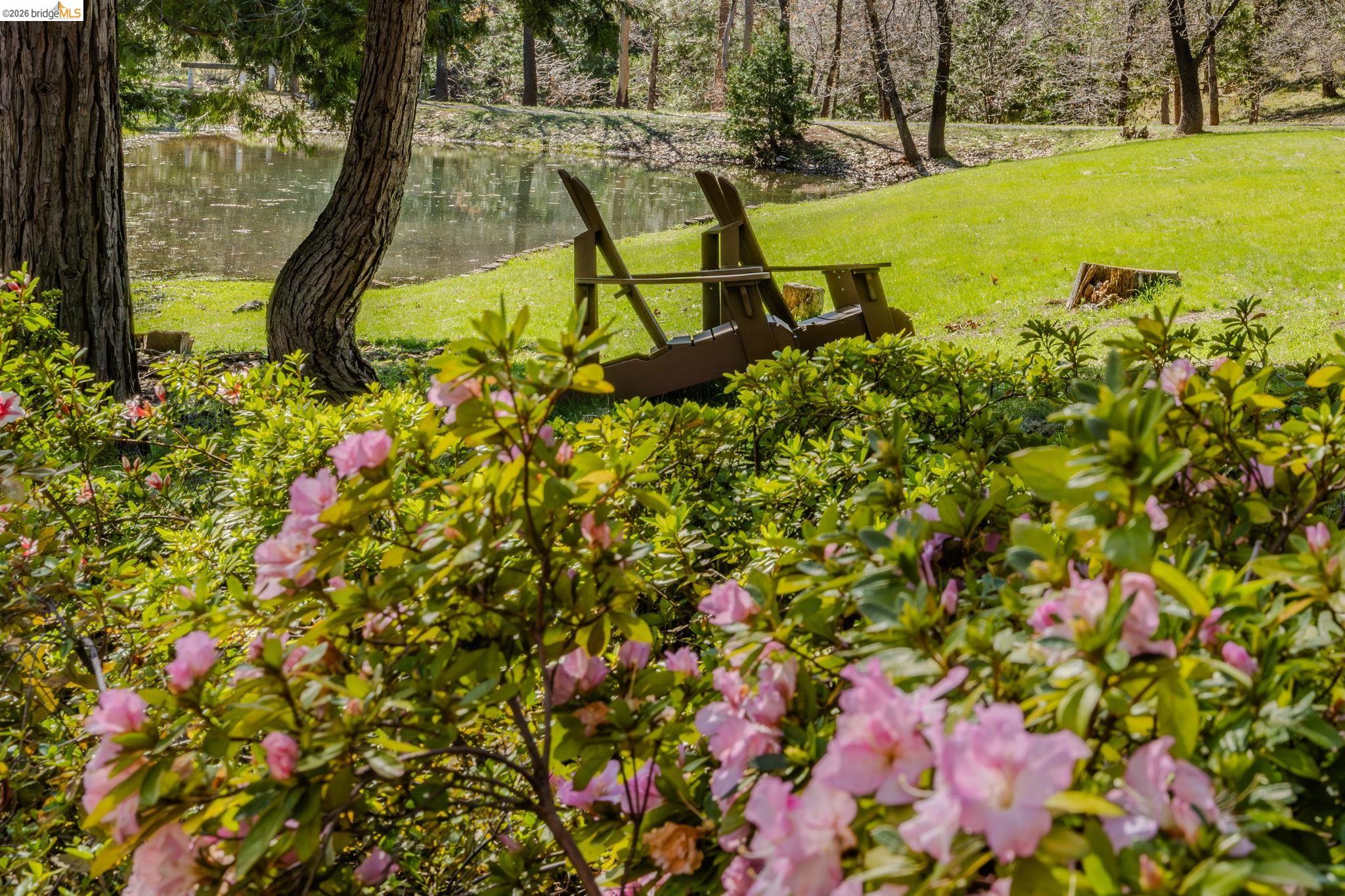 Detail Gallery Image 26 of 54 For 1554 Vine Maple Dr, Murphys,  CA 95247 - 3 Beds | 2/1 Baths