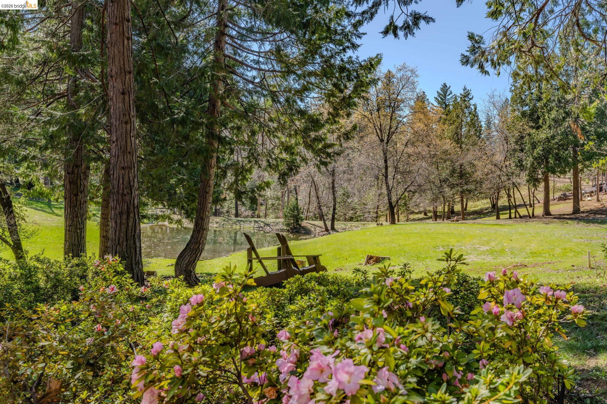 Detail Gallery Image 4 of 54 For 1554 Vine Maple Dr, Murphys,  CA 95247 - 3 Beds | 2/1 Baths