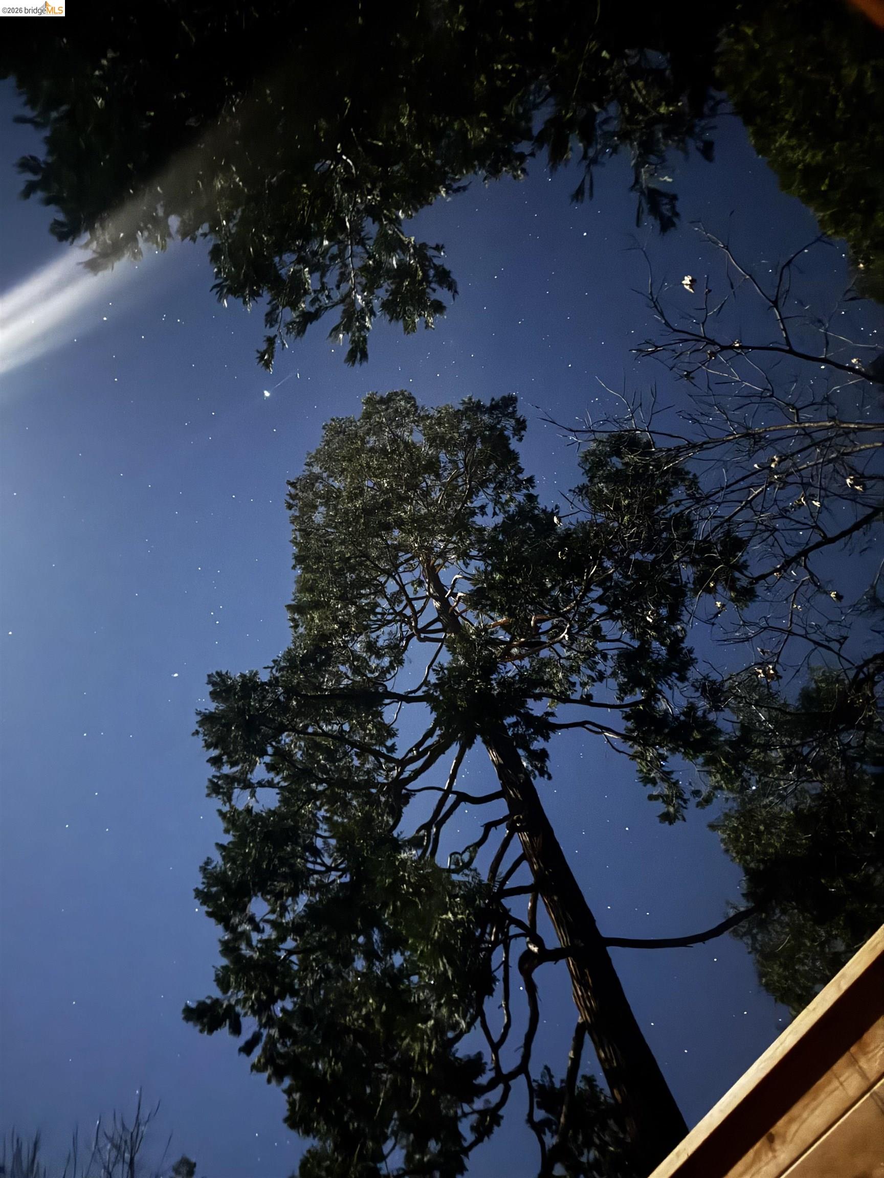 Detail Gallery Image 32 of 54 For 1554 Vine Maple Dr, Murphys,  CA 95247 - 3 Beds | 2/1 Baths