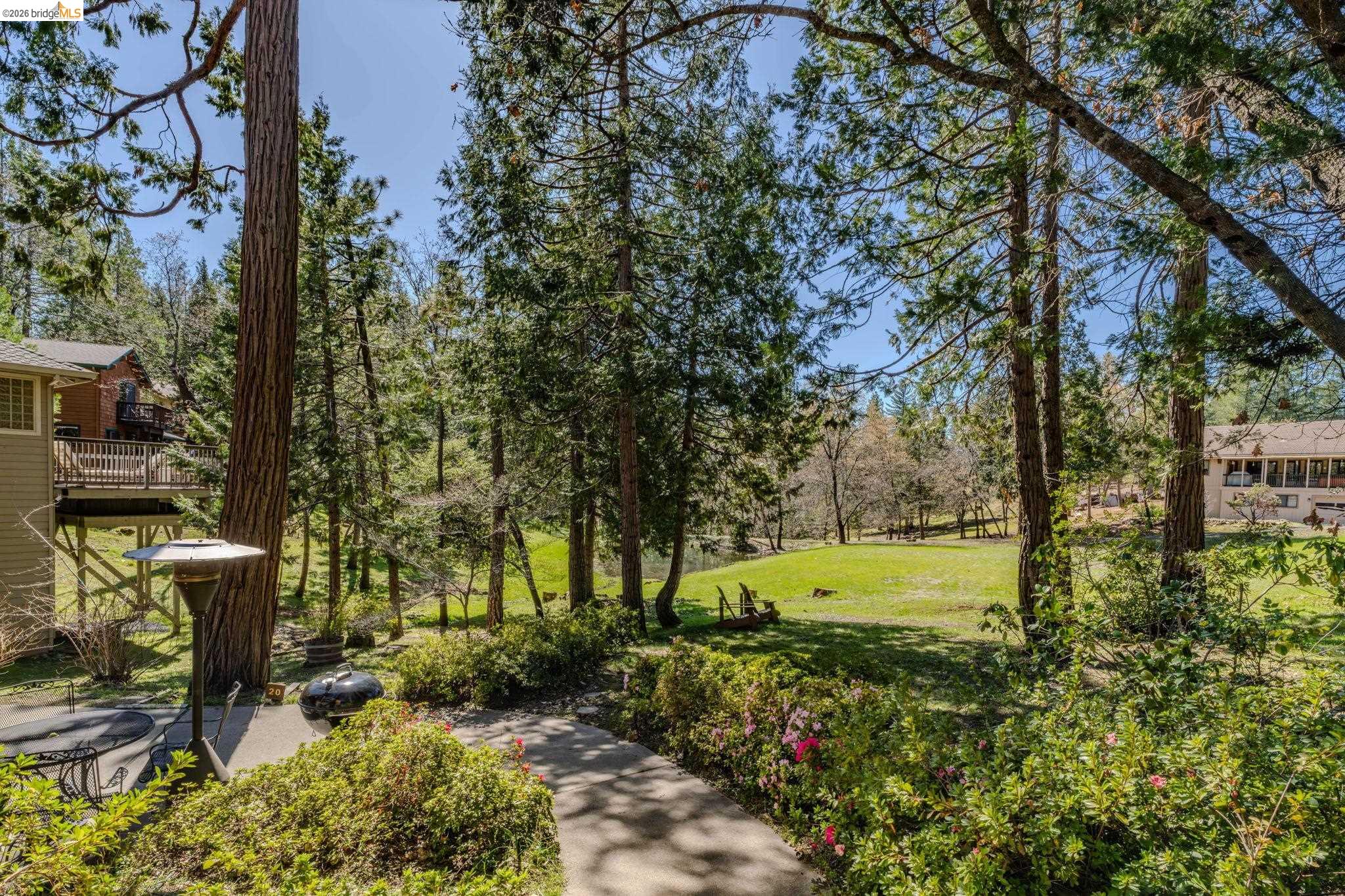 Detail Gallery Image 47 of 54 For 1554 Vine Maple Dr, Murphys,  CA 95247 - 3 Beds | 2/1 Baths