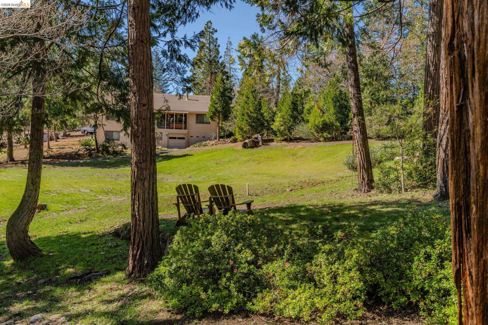 Detail Gallery Image 49 of 54 For 1554 Vine Maple Dr, Murphys,  CA 95247 - 3 Beds | 2/1 Baths