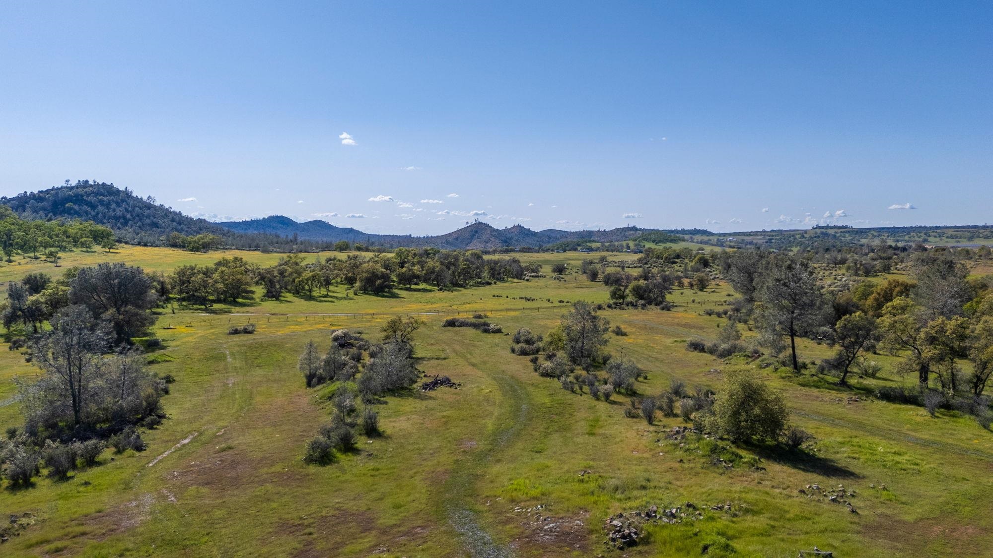 Detail Gallery Image 11 of 21 For Hwy 49/120 Parcel 1, –,  CA 95327 - – Beds | – Baths