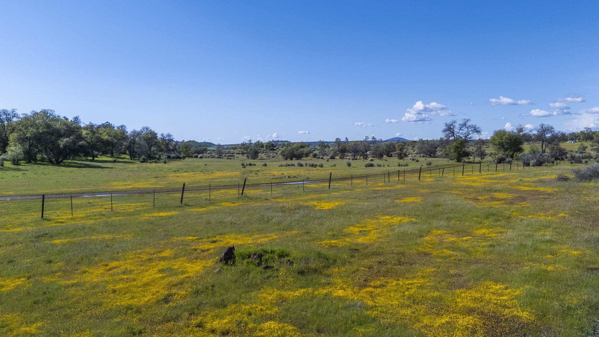 Detail Gallery Image 14 of 21 For Hwy 49/120 Parcel 1, –,  CA 95327 - – Beds | – Baths