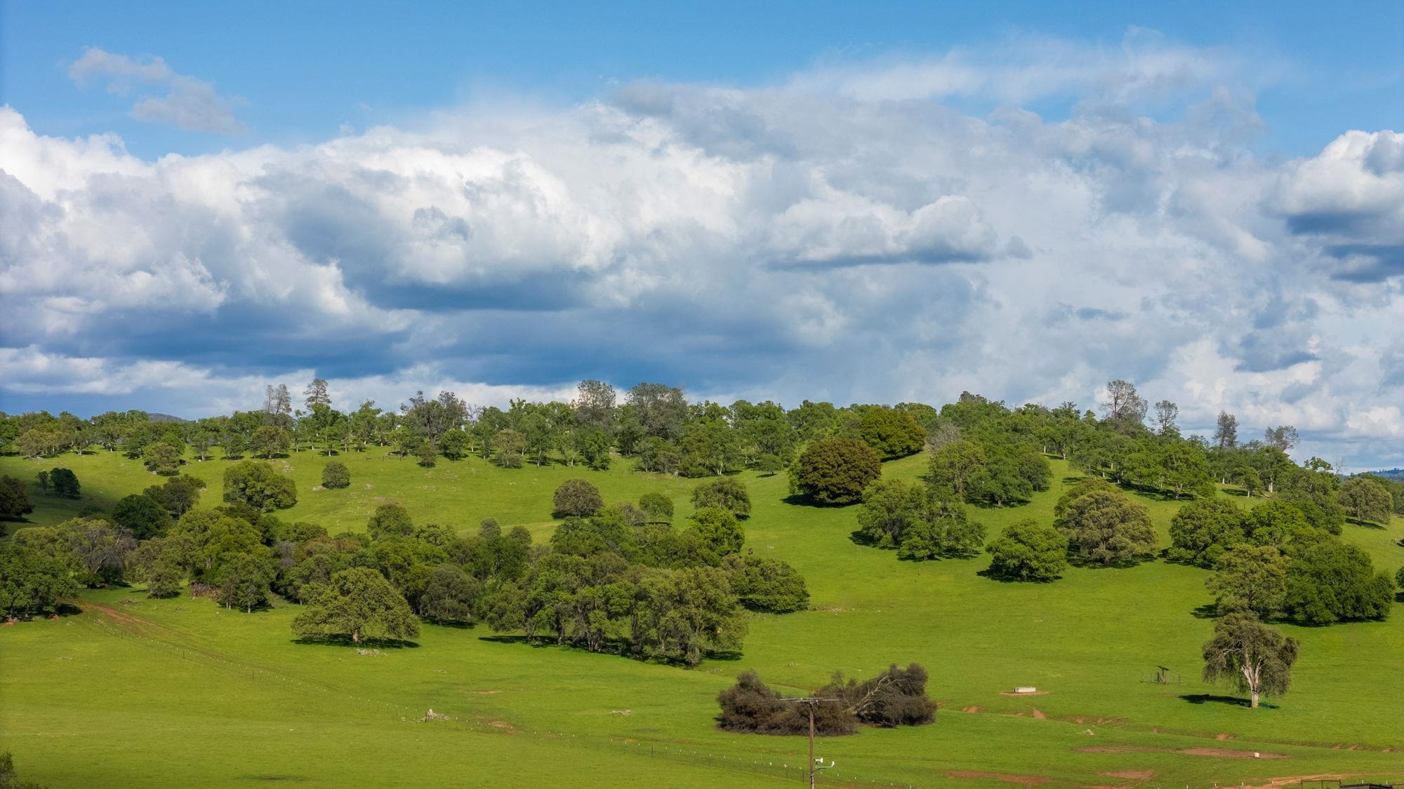 Detail Gallery Image 18 of 21 For Hwy 49/120 Parcel 1, –,  CA 95327 - – Beds | – Baths