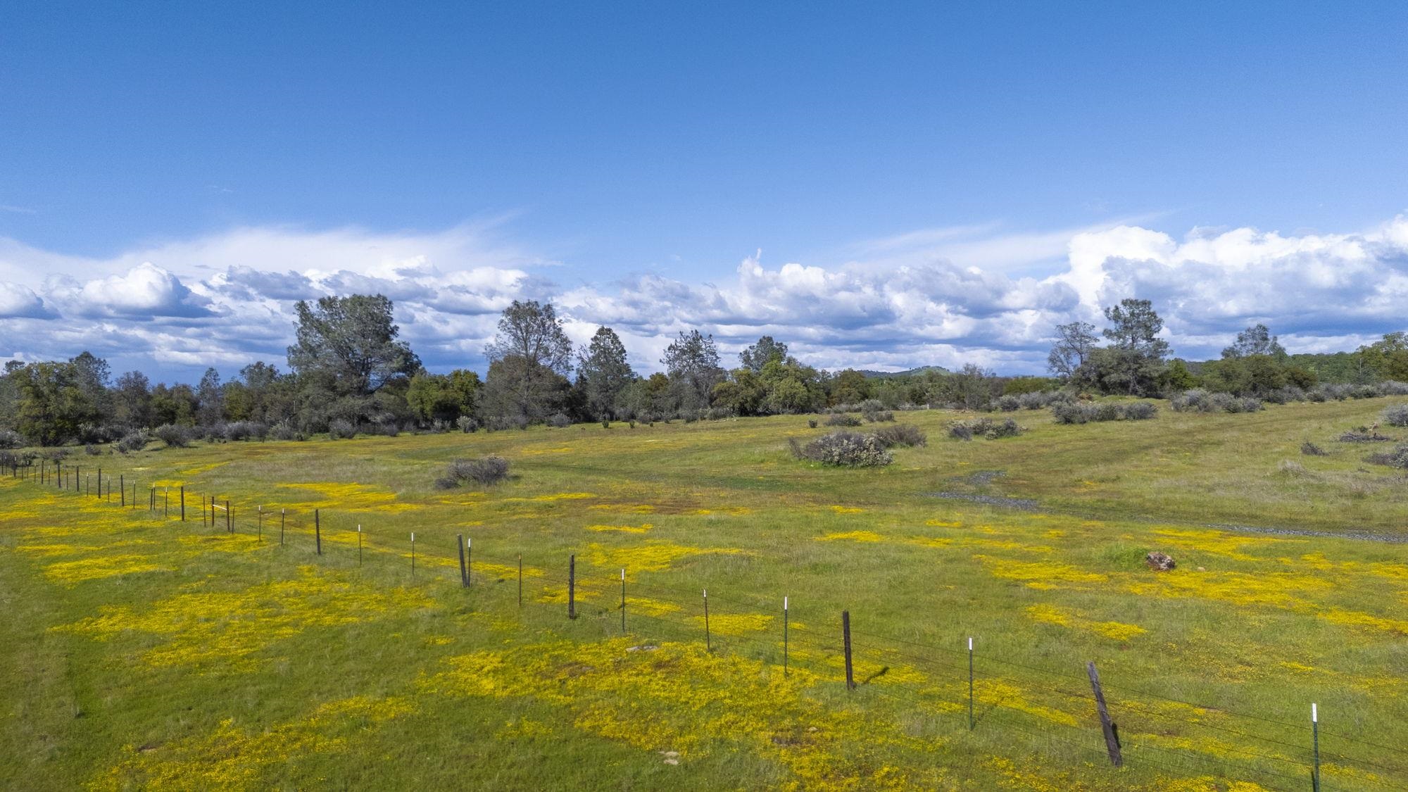 Detail Gallery Image 19 of 21 For Hwy 49/120 Parcel 1, –,  CA 95327 - – Beds | – Baths