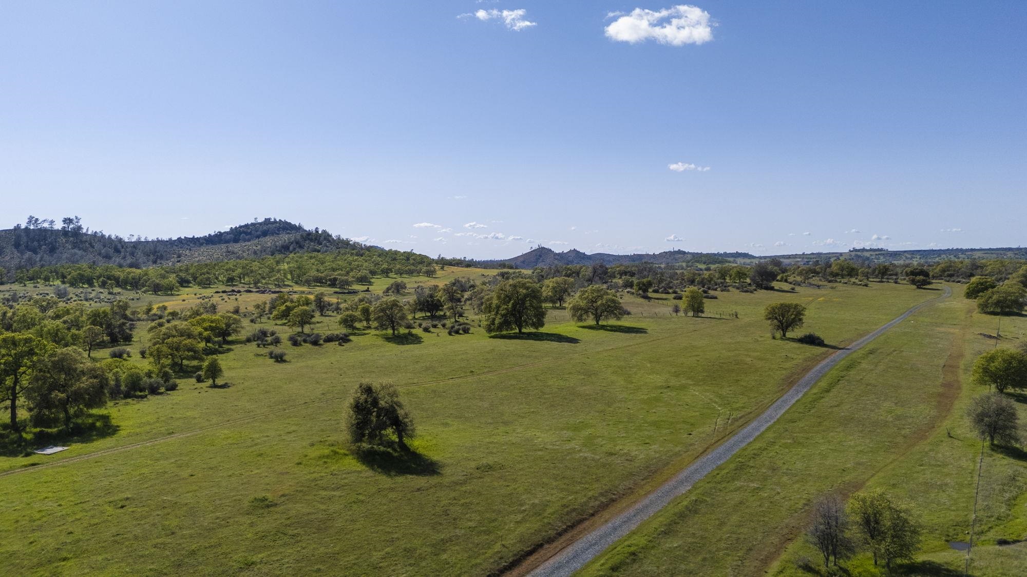 Detail Gallery Image 4 of 21 For Hwy 49/120 Parcel 1, –,  CA 95327 - – Beds | – Baths