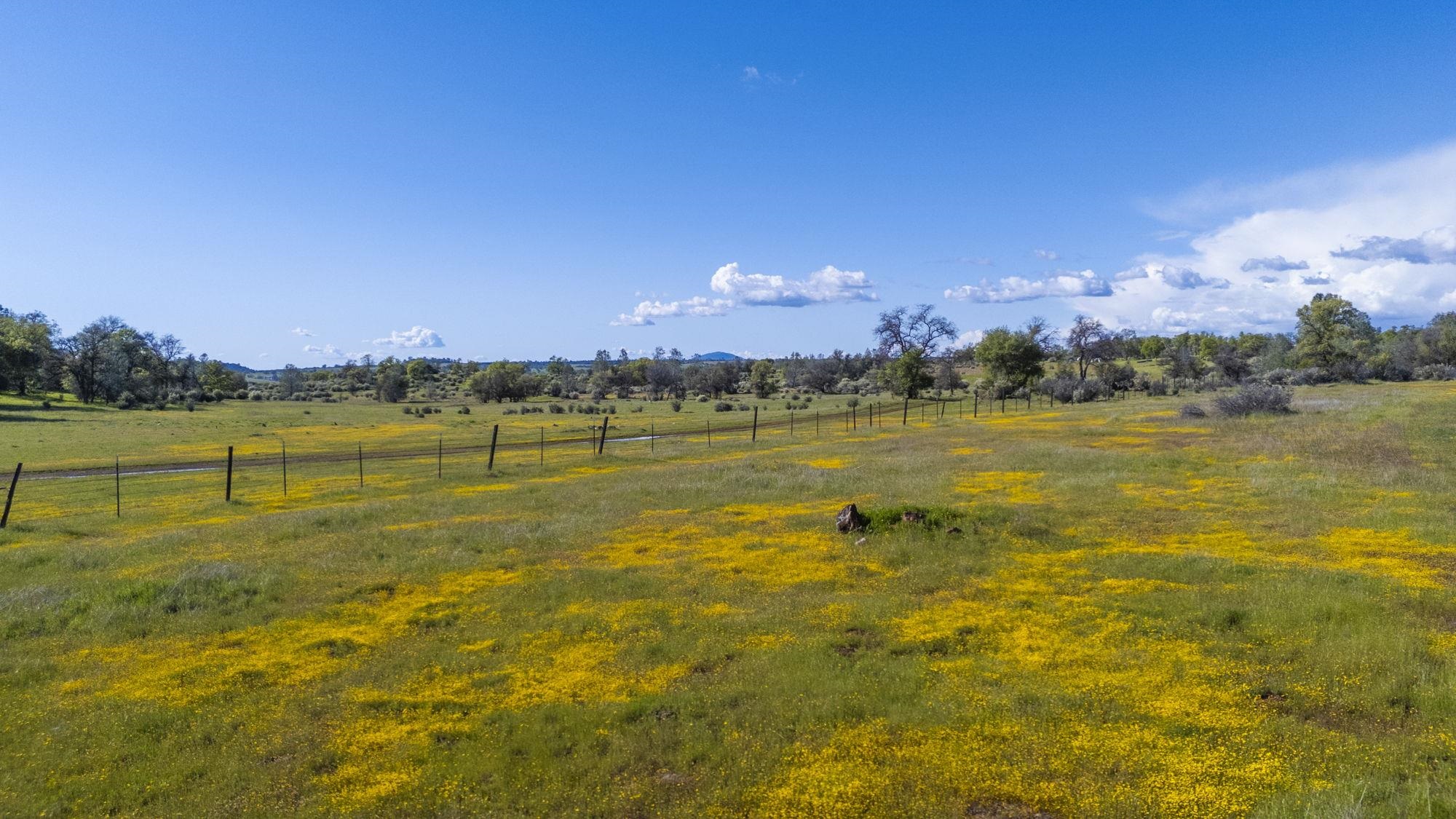 Detail Gallery Image 6 of 21 For Hwy 49/120 Parcel 1, –,  CA 95327 - – Beds | – Baths