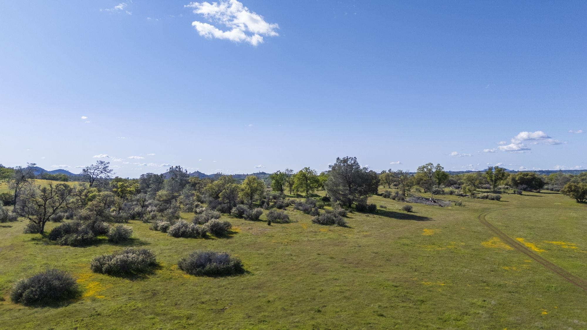 Detail Gallery Image 9 of 21 For Hwy 49/120 Parcel 1, –,  CA 95327 - – Beds | – Baths