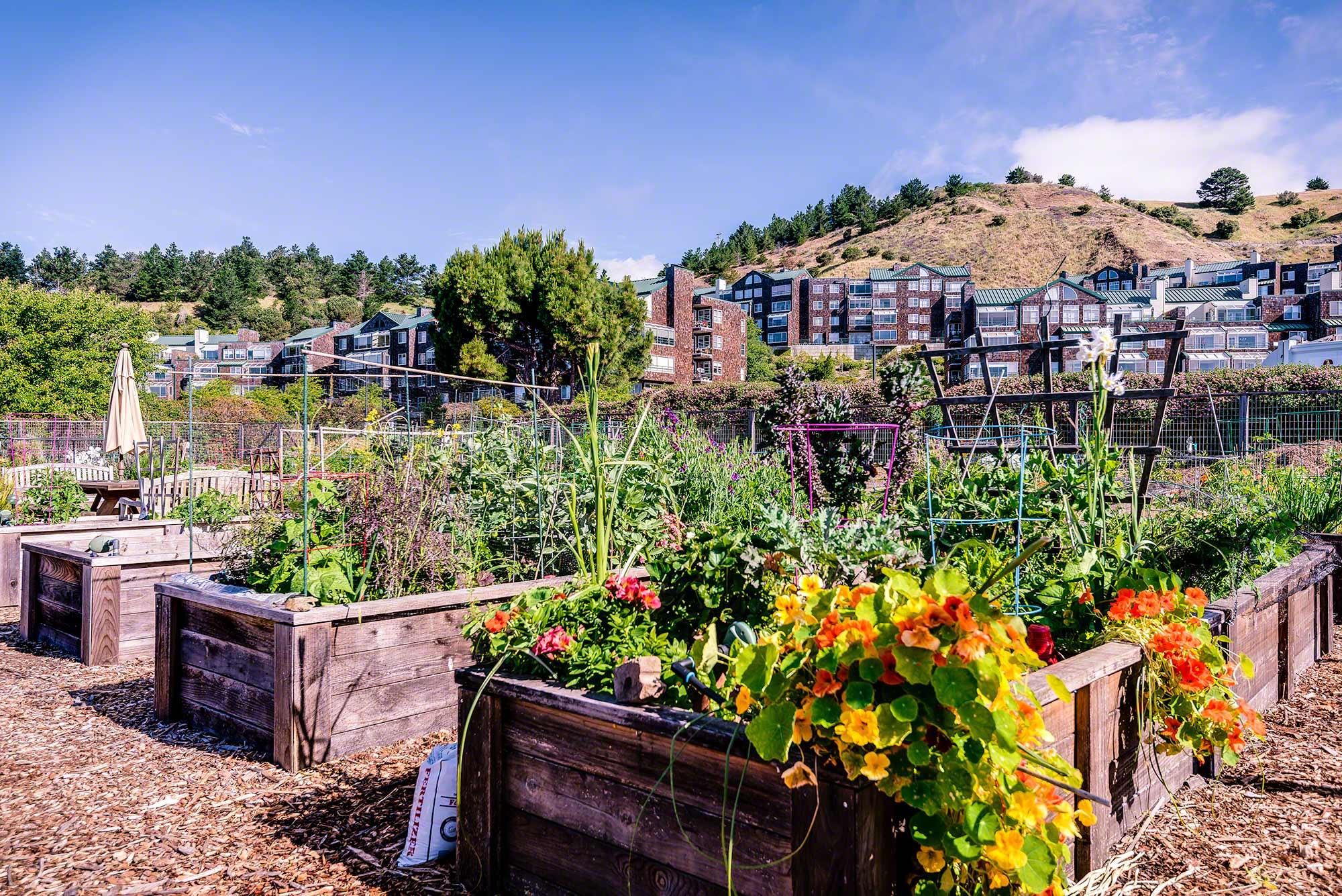 Photo #27: 41124285 Listing: Photo #27