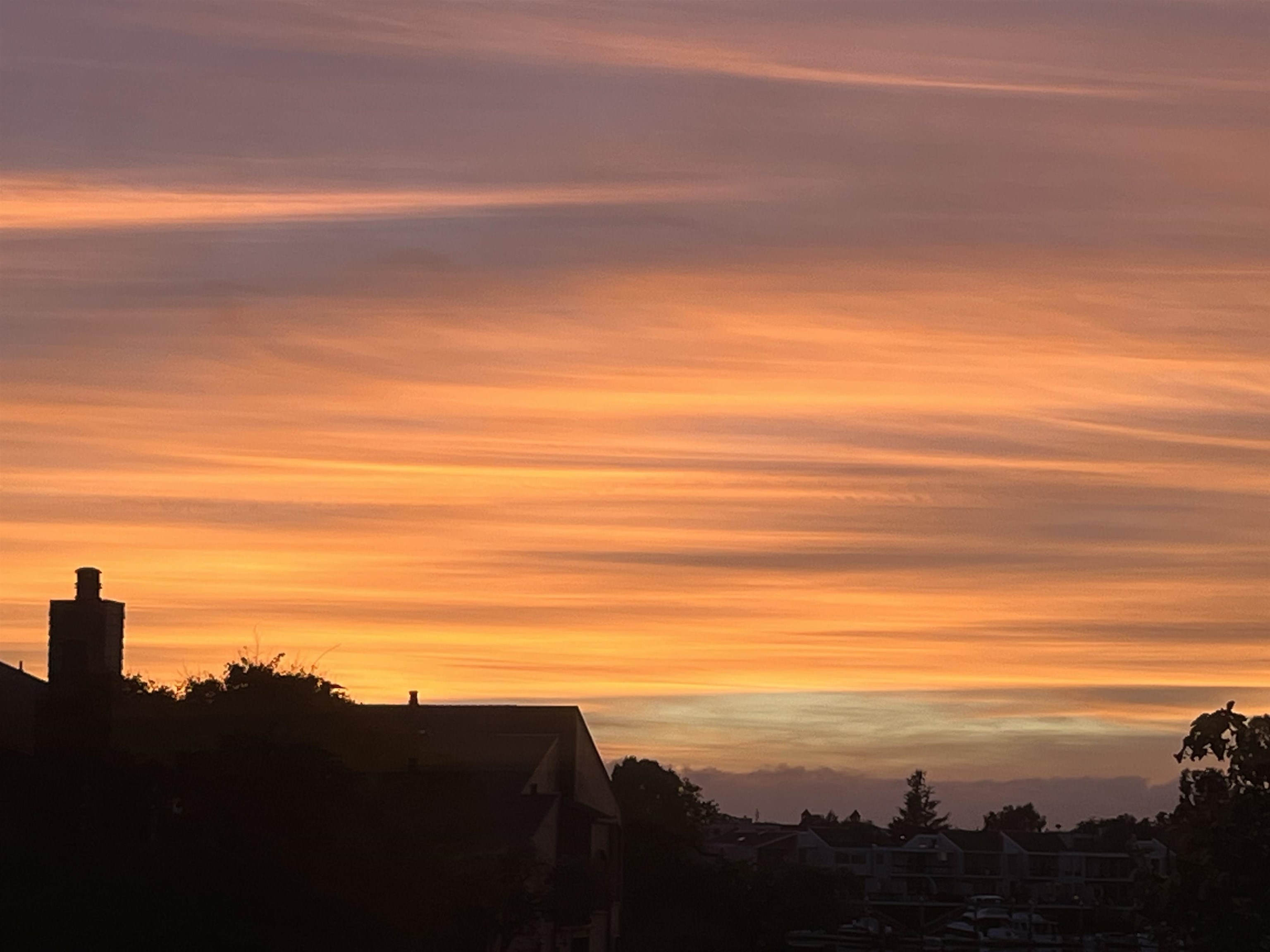 Photo #41: 41124296 Listing: Photo #41