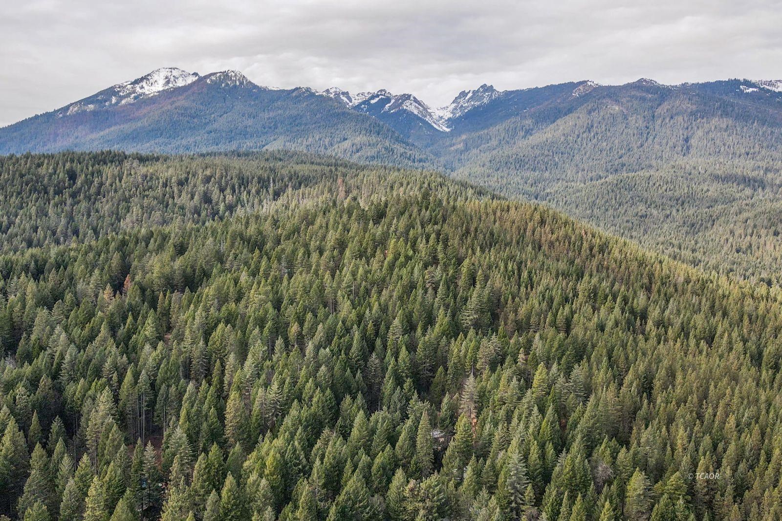 Detail Gallery Image 49 of 50 For 410 Lake Forest Dr., Trinity Center,  CA 96091 - 5 Beds | 2 Baths