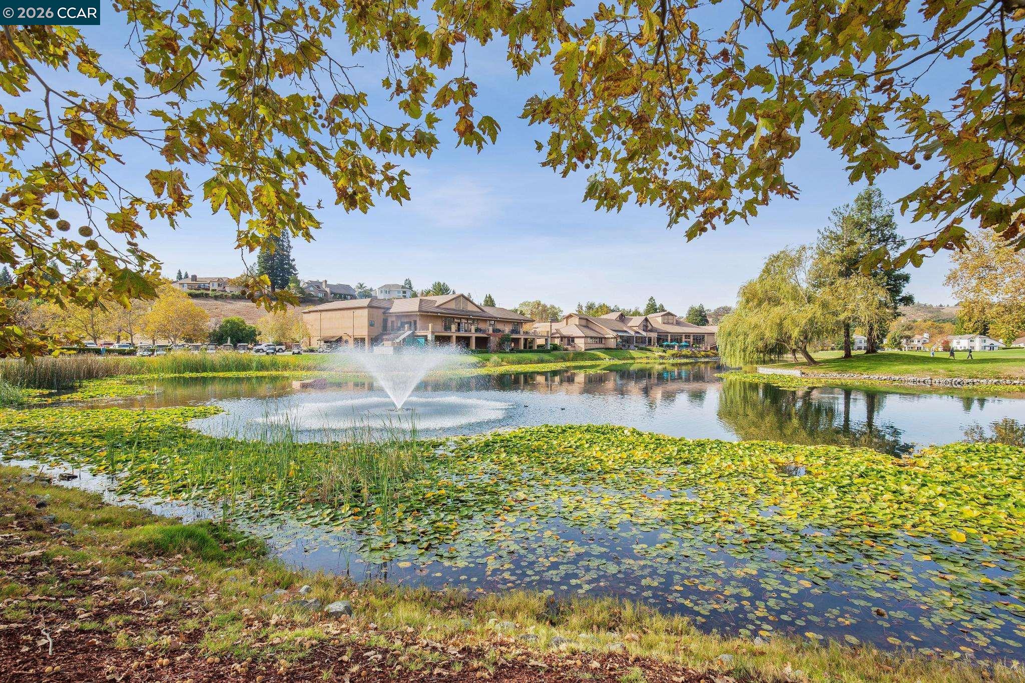Detail Gallery Image 60 of 60 For 30 Sugar Pine Lane, Danville,  CA 94506 - 3 Beds | 2/1 Baths