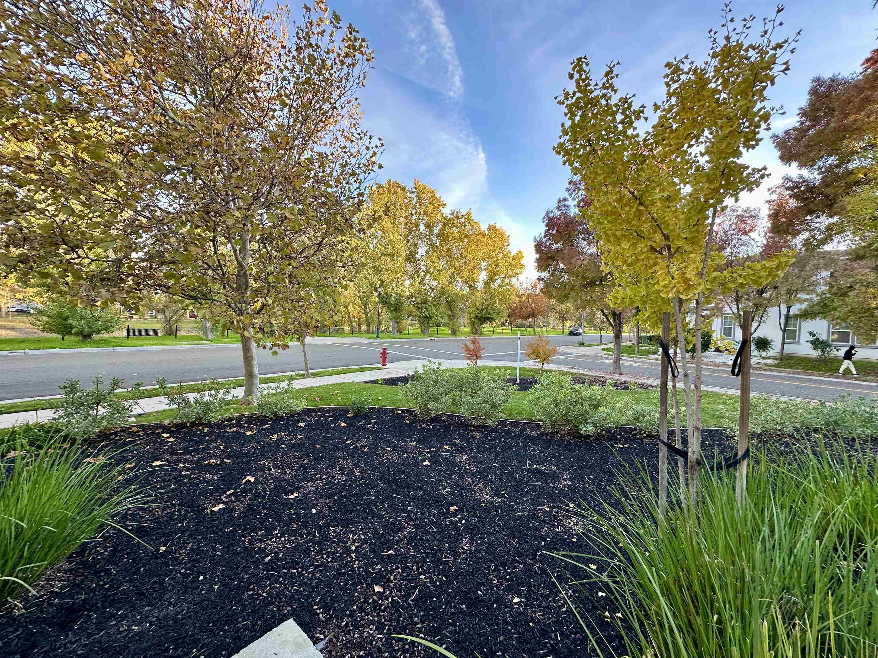 Detail Gallery Image 22 of 24 For 372 S. Caballo Street, Mountain House,  CA 95391 - 5 Beds | 3 Baths