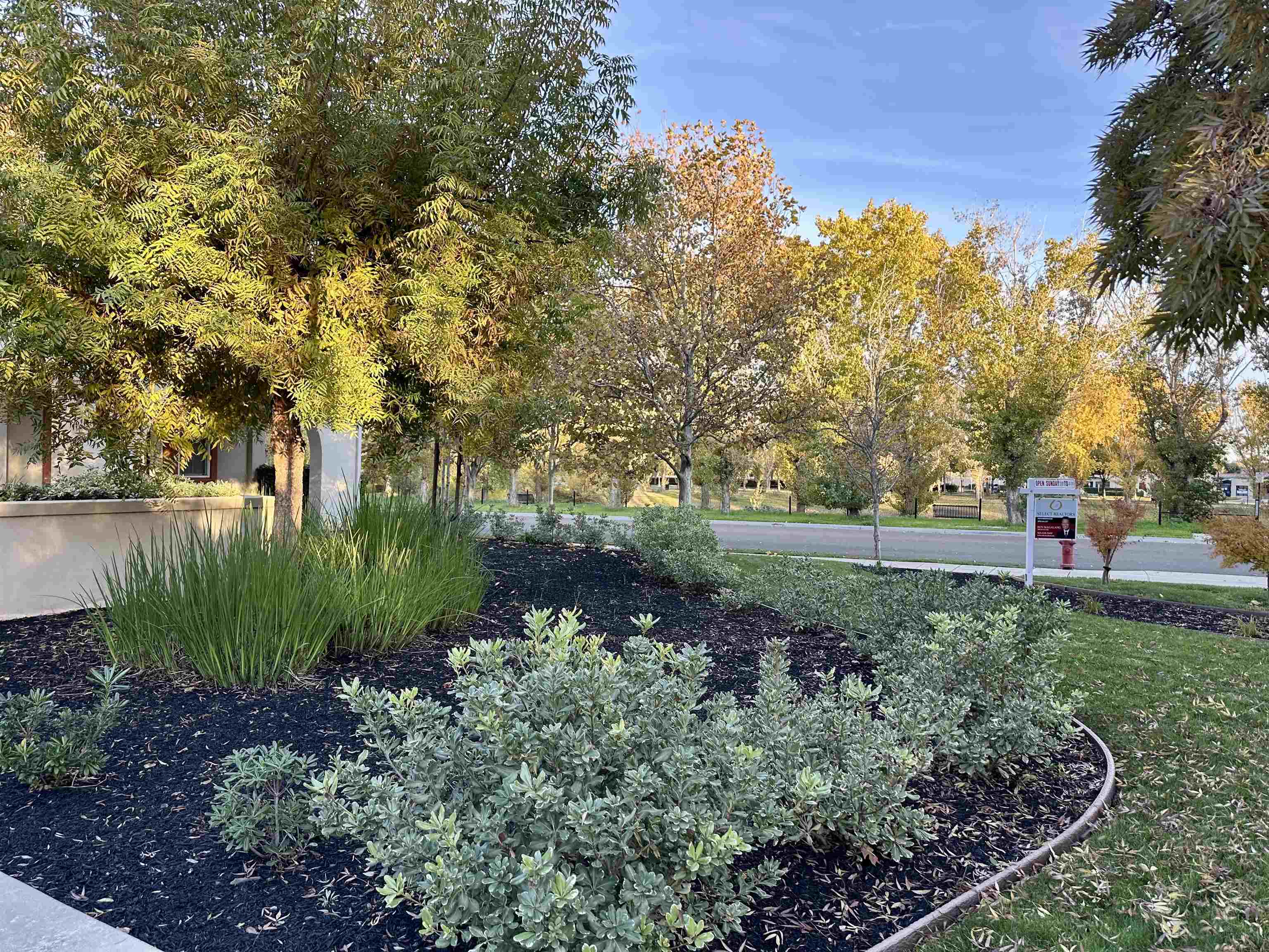 Detail Gallery Image 23 of 24 For 372 S. Caballo Street, Mountain House,  CA 95391 - 5 Beds | 3 Baths