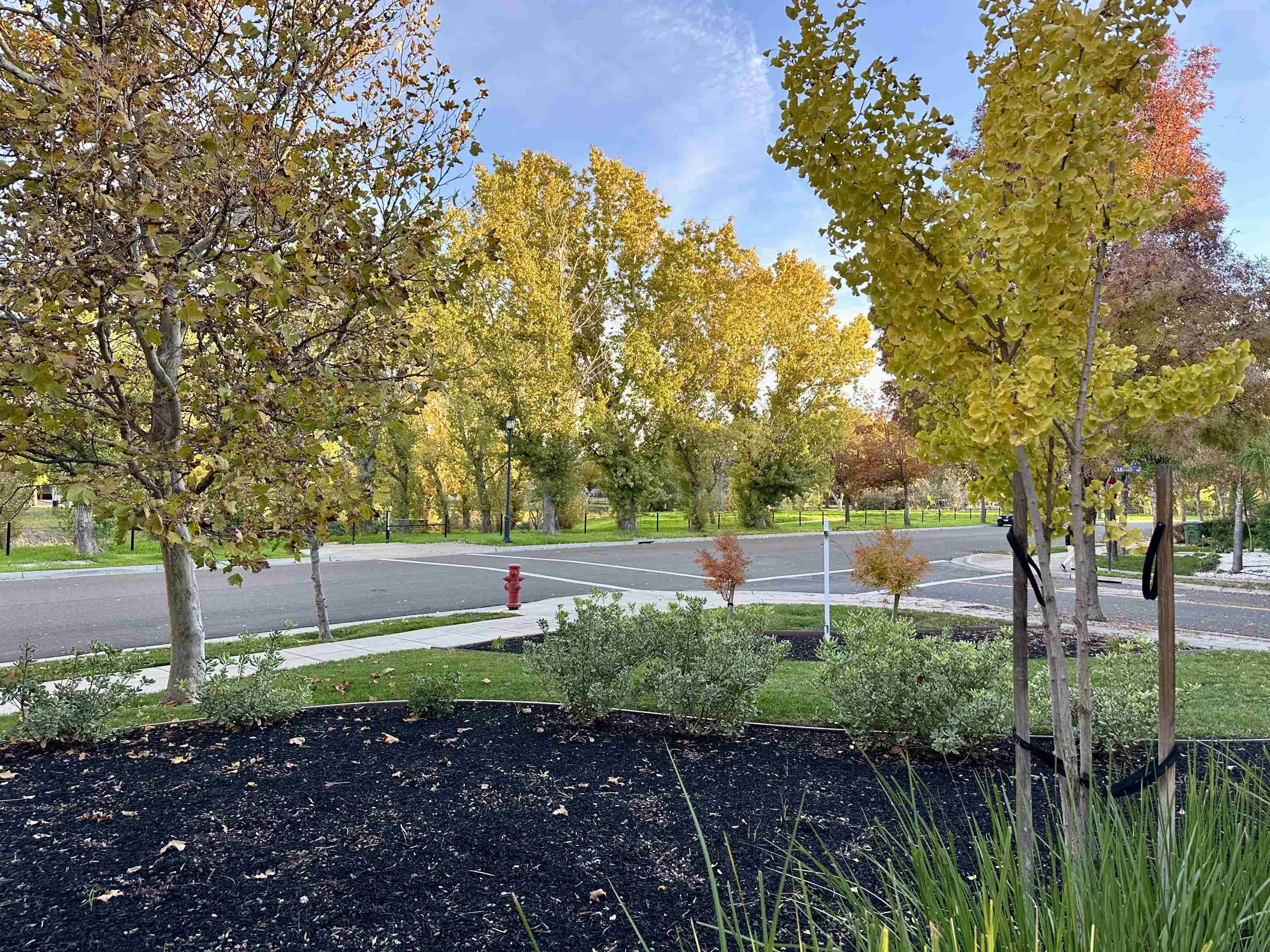 Detail Gallery Image 24 of 24 For 372 S. Caballo Street, Mountain House,  CA 95391 - 5 Beds | 3 Baths