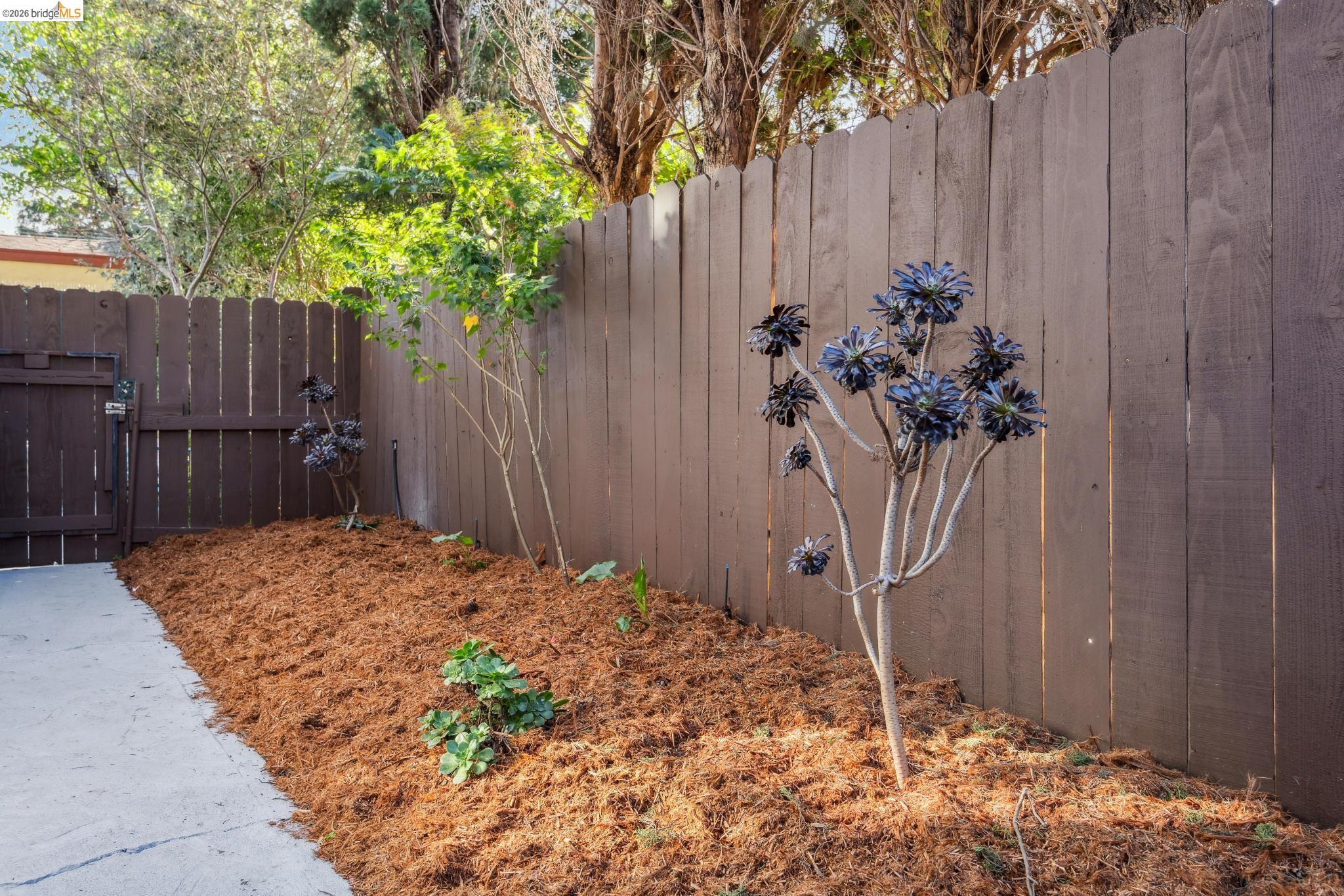 Detail Gallery Image 53 of 59 For 1207 Francisco Street #2,  Berkeley,  CA 94702 - 3 Beds | 2 Baths