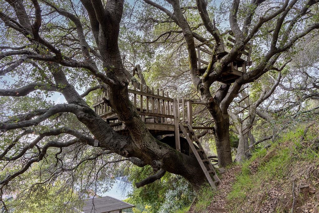 Detail Gallery Image 32 of 38 For 3175 Revere Ave, Oakland,  CA 94605 - 3 Beds | 2/1 Baths