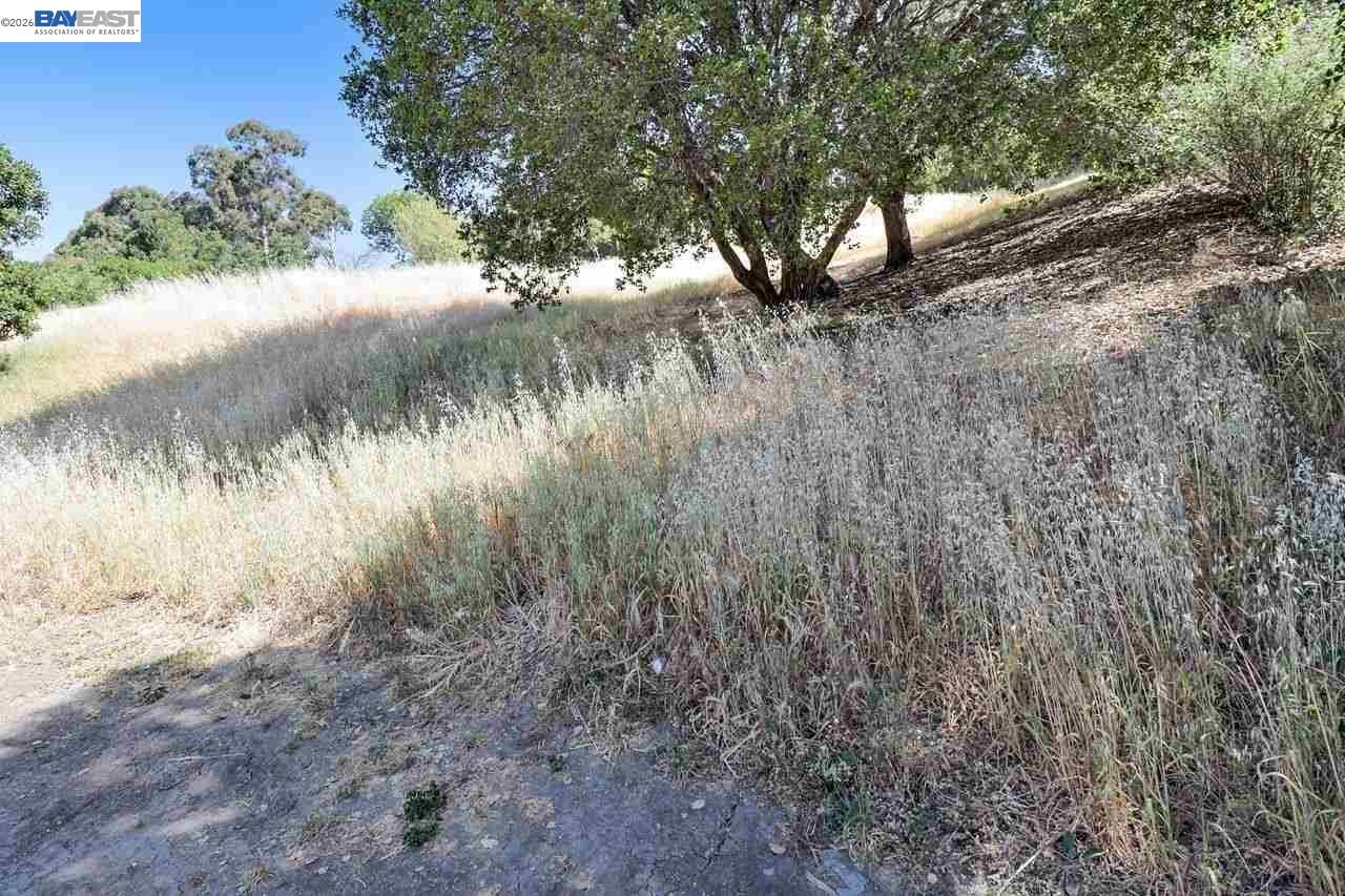 Outlook Ave, Oakland CA 94608 — photo 4