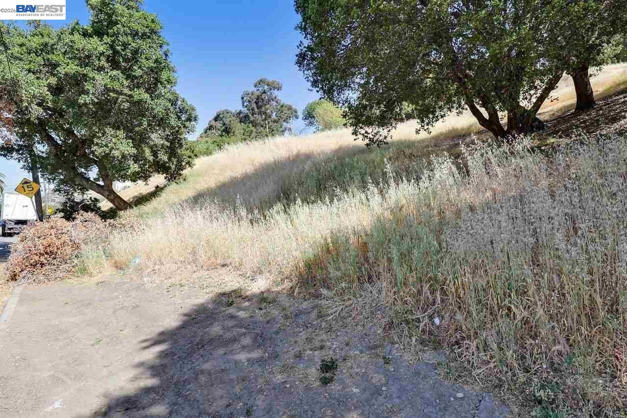 Outlook Ave, Oakland CA 94608 — photo 5