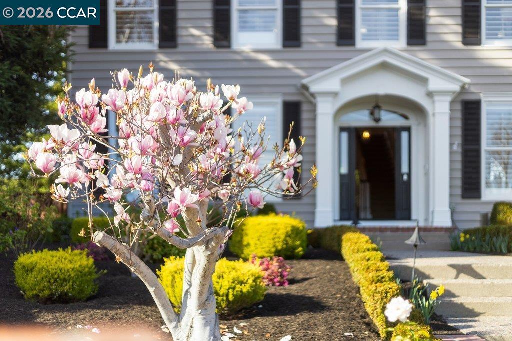 Detail Gallery Image 3 of 51 For 10 Crownridge Dr, Danville,  CA 94506 - 4 Beds | 3/1 Baths